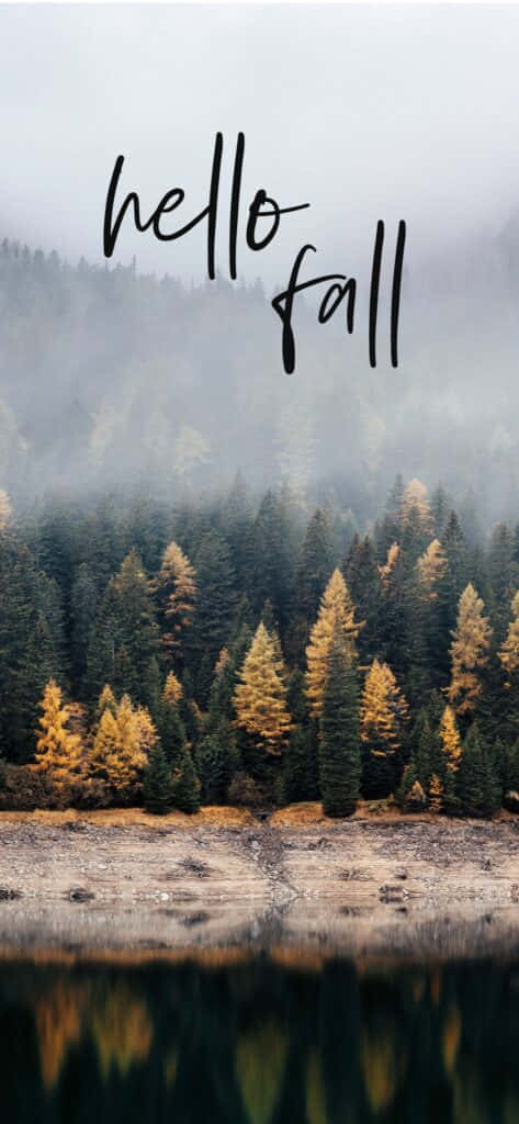 Hello Fall, misty forest lake, golden and green trees, SD Phone Wallpaper