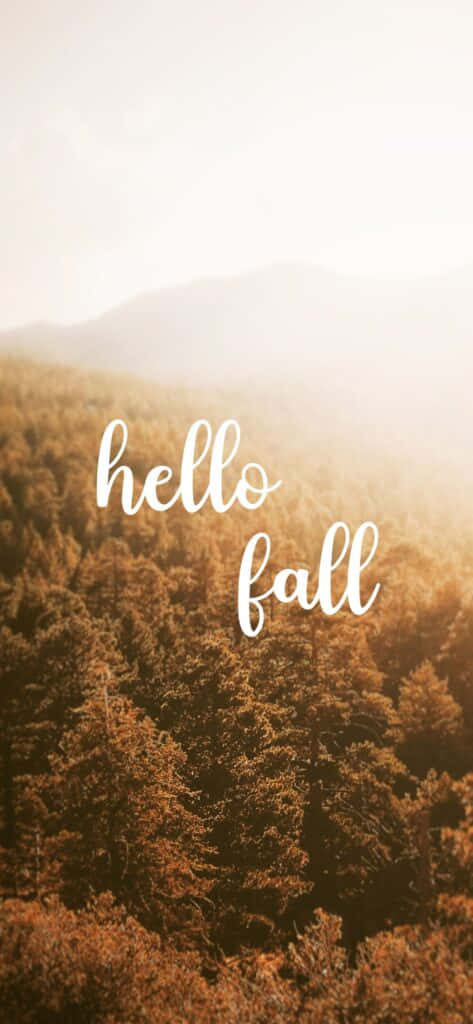 hello fall, Golden autumn forest, rolling hills, SD Phone Wallpaper