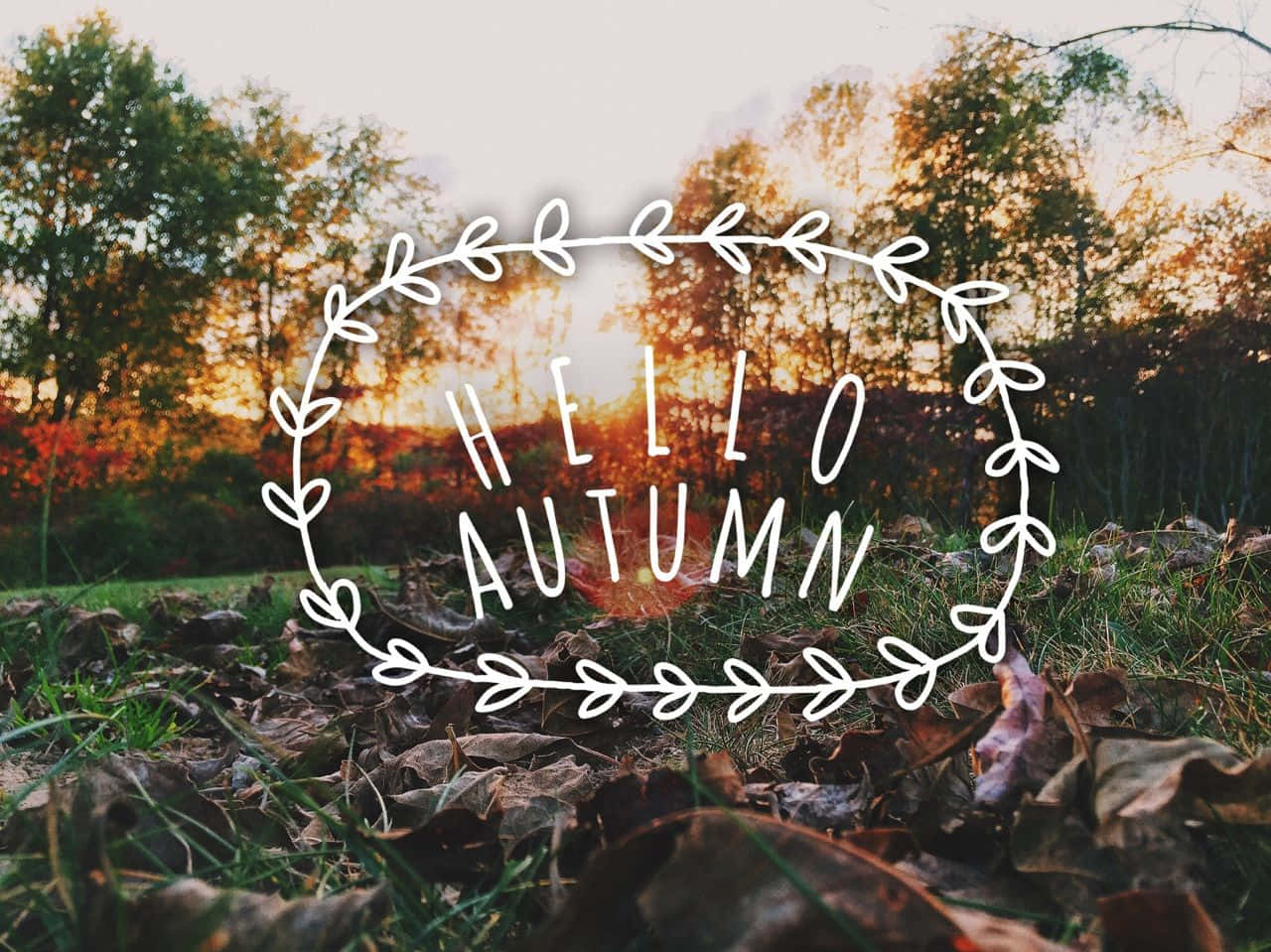 hello autumn, warm autumn sunset, fallen leaves, HD Desktop Wallpaper