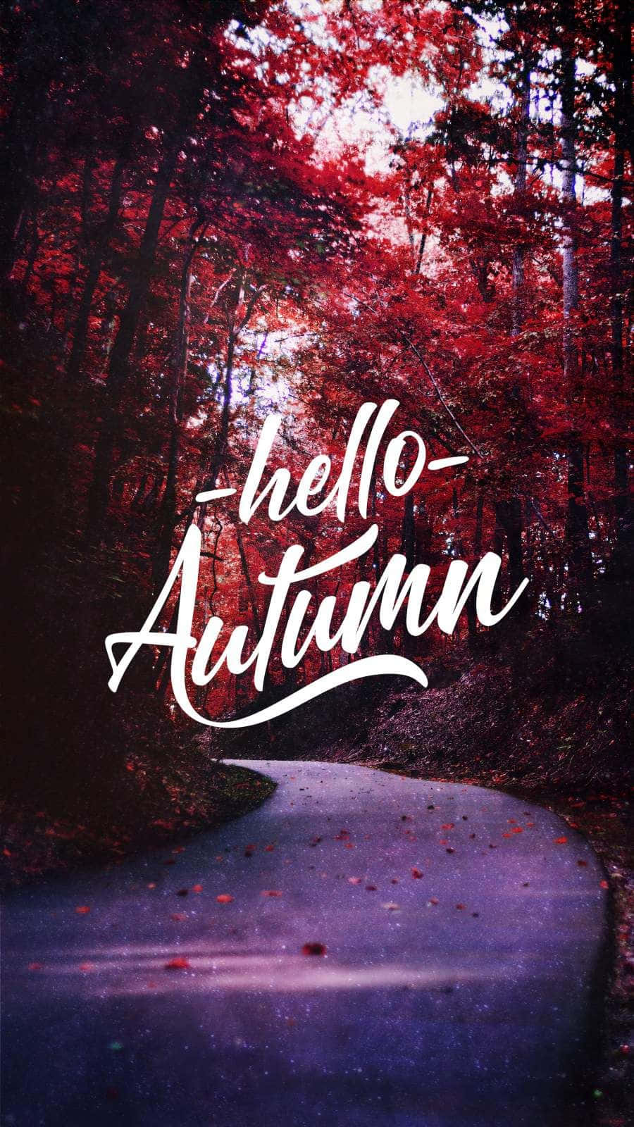 hello autumn, red foliage, purple ground, HD Phone Wallpaper