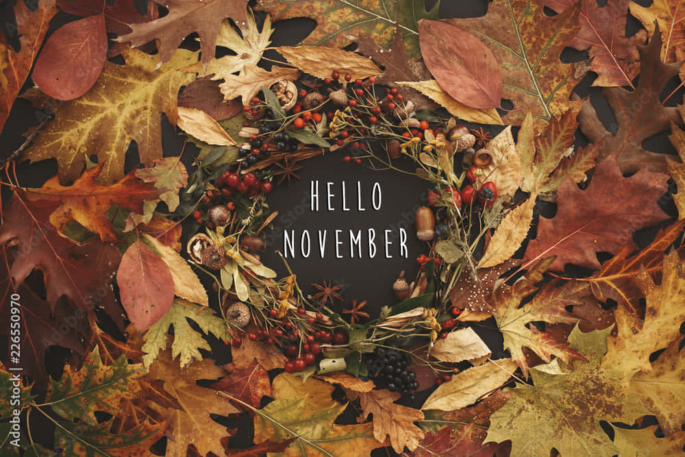 Hello November, rustic autumn wreath, red berries, SD Desktop Wallpaper