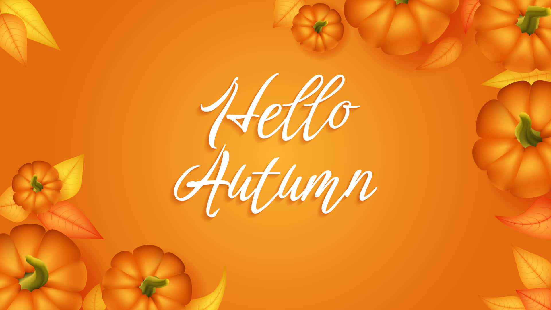 Hello Fall, autumn orange pumpkins, warm orange background, Full HD Desktop Wallpaper