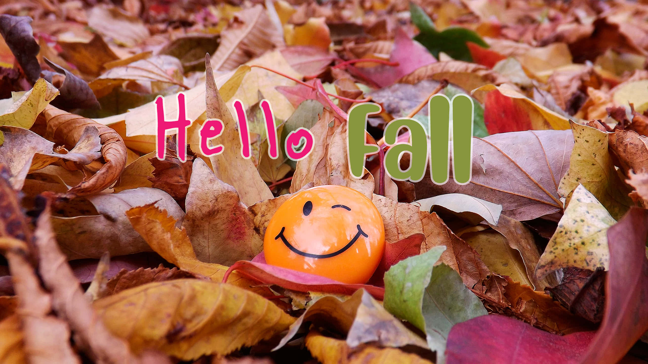 Hello Fall, orange smiley ball, autumn leaves, 2K Desktop Wallpaper