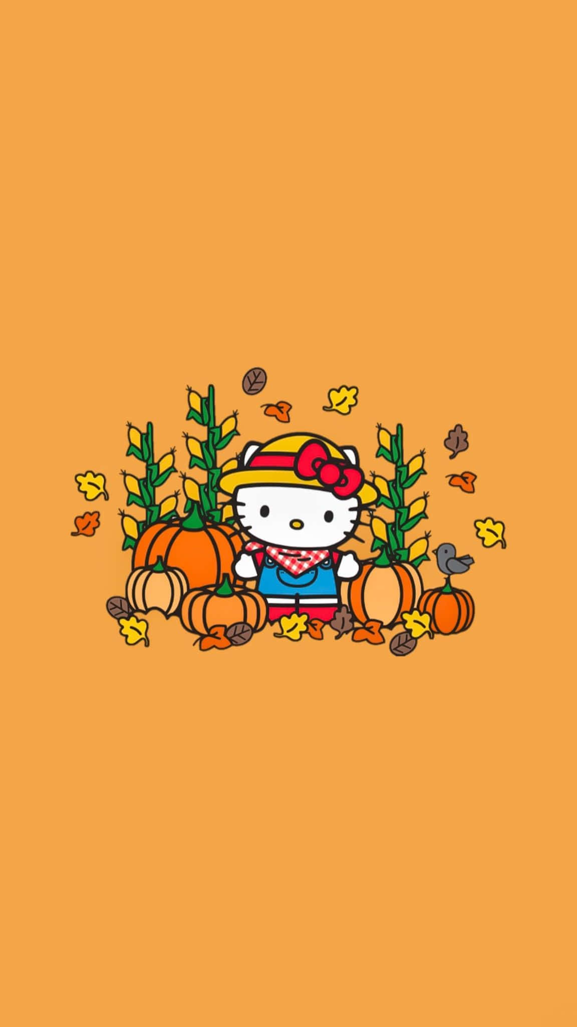Hello Kitty, autumn hat, pumpkins, Full HD Phone Wallpaper