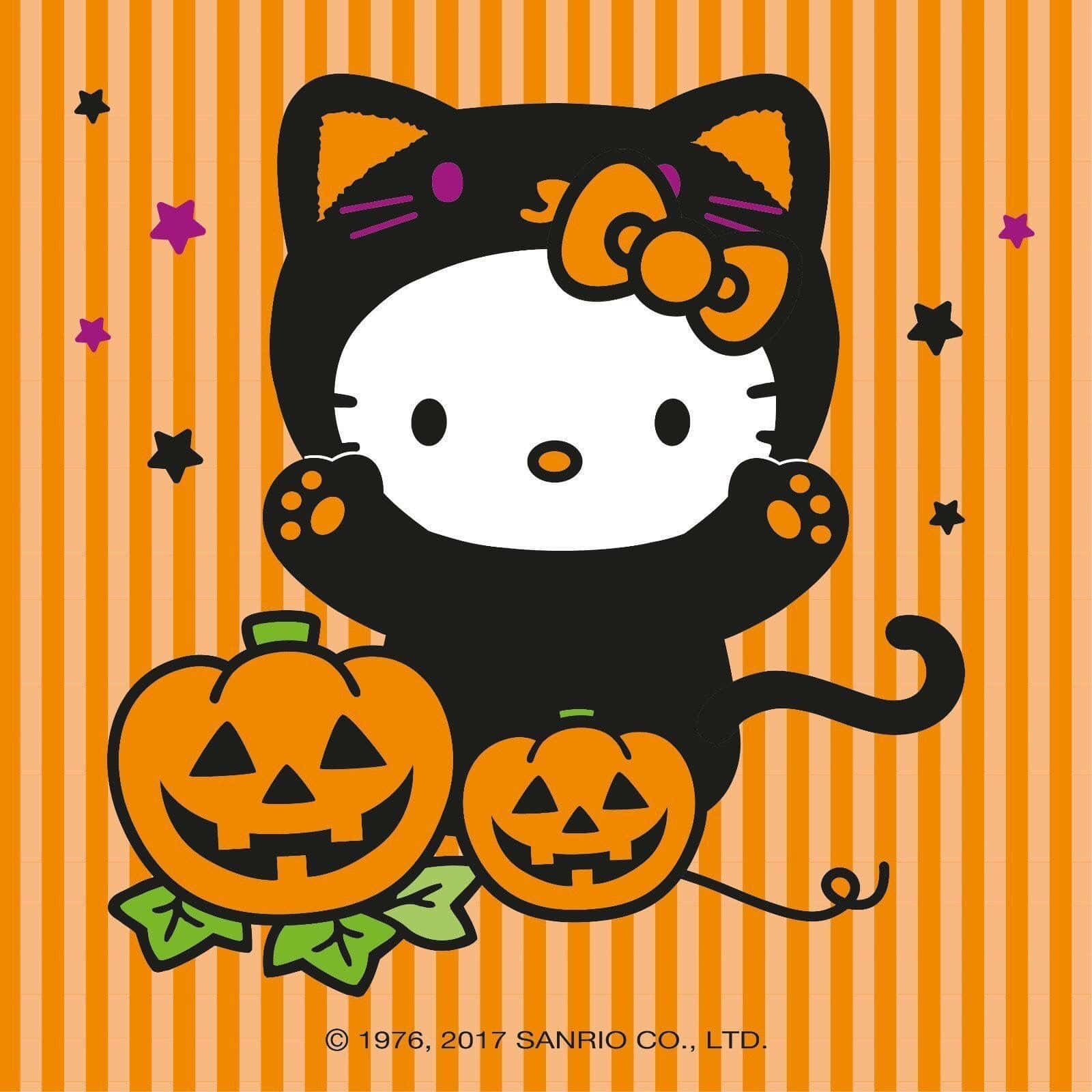 Hello Kitty, orange bow, black cat, HD Desktop Wallpaper