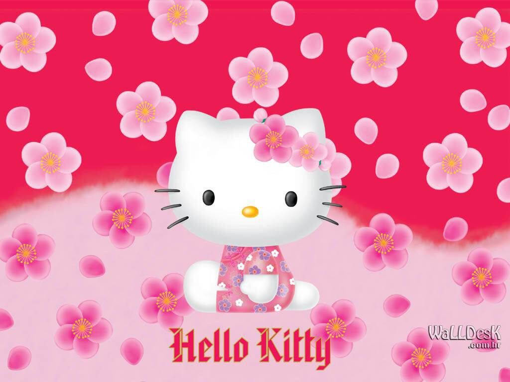 Hello Kitty, cherry blossom field, pink, SD Desktop Wallpaper