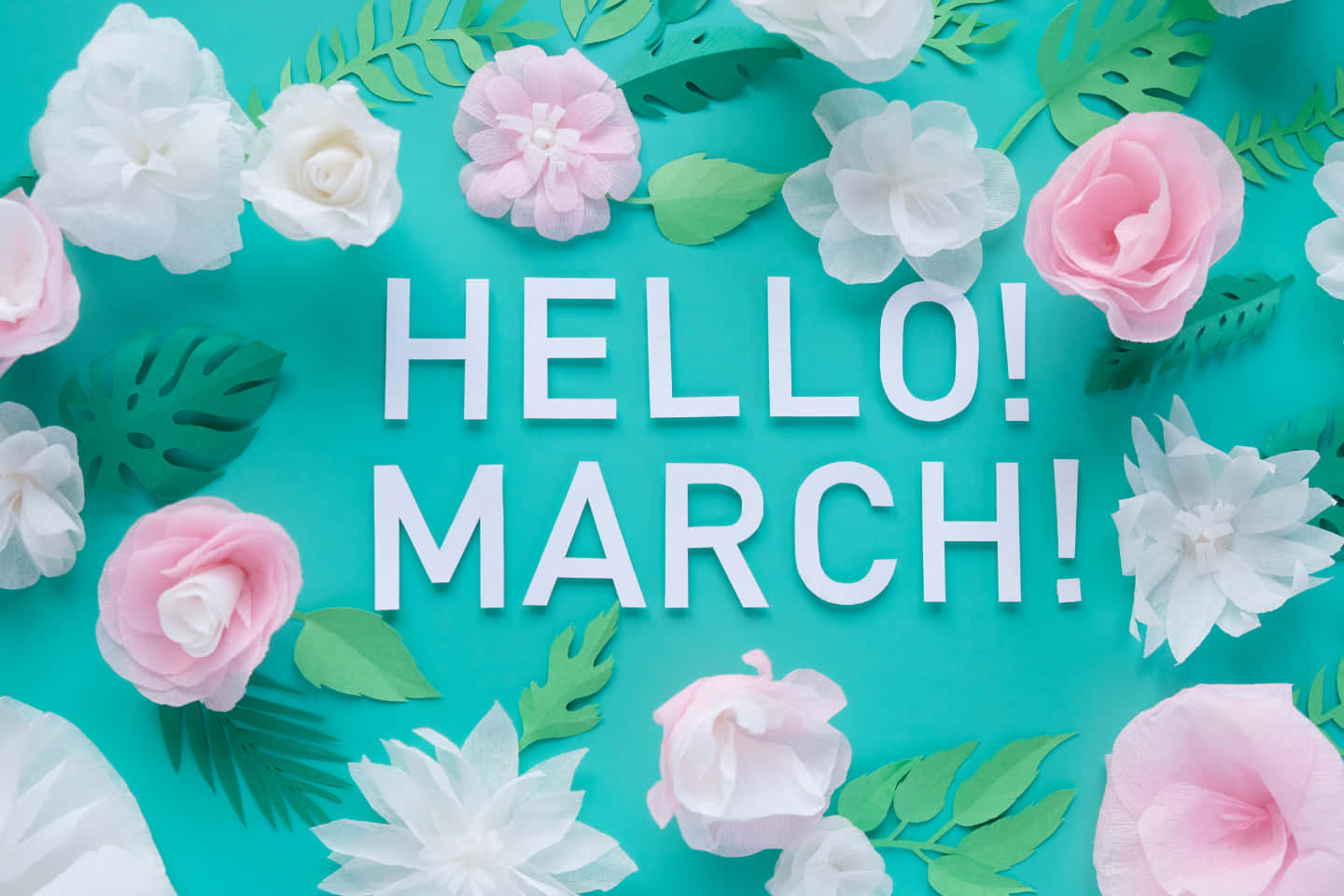 Hello March, white and pink paper flowers, green leaves, HD Desktop Wallpaper