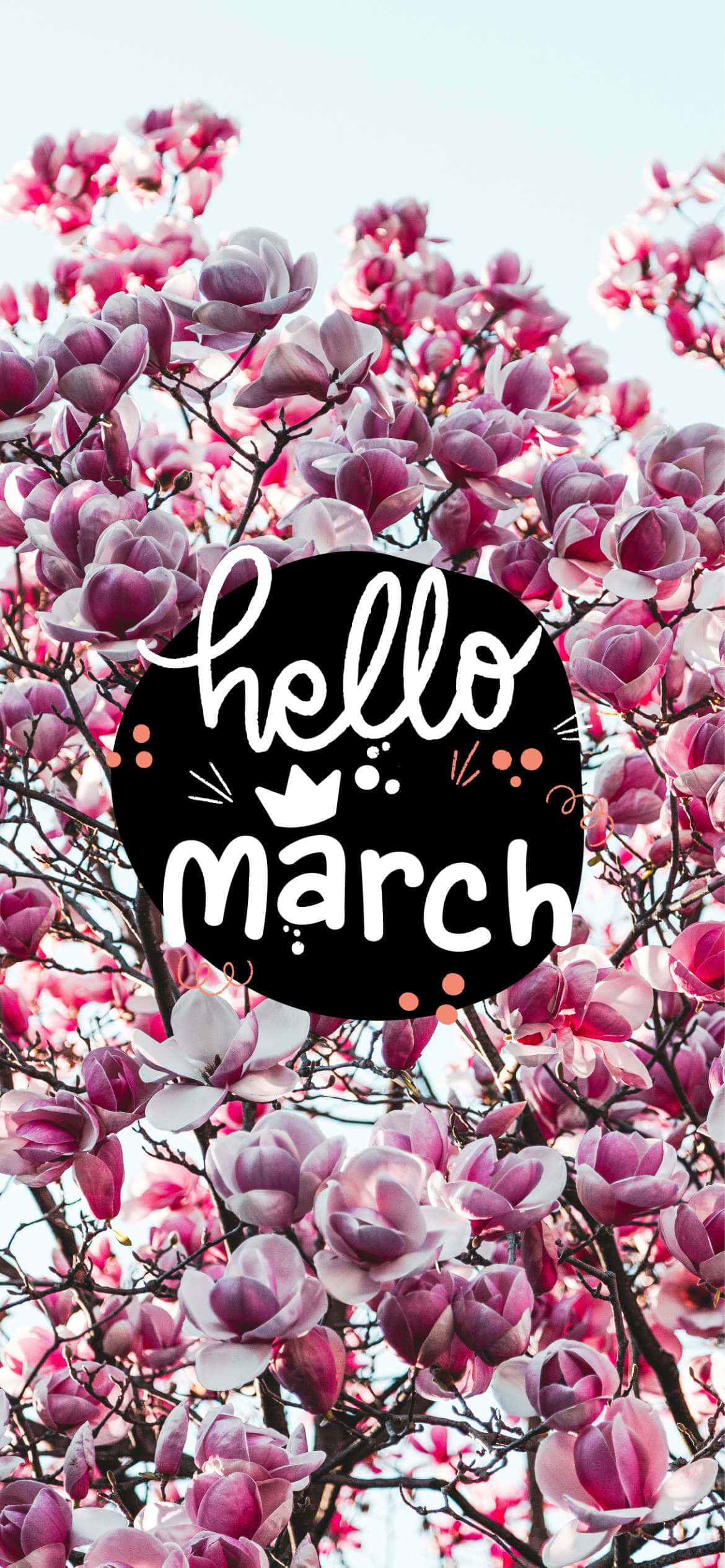 hello march, pink magnolia blossoms, soft blue sky, Full HD Phone Wallpaper