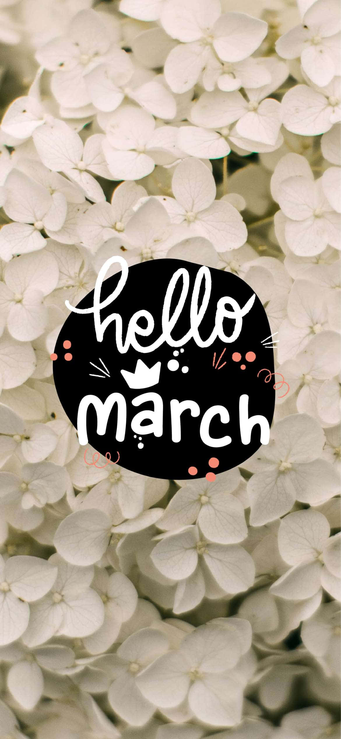 Hello March, white hydrangea blooms, black circular graphic, Full HD Phone Wallpaper