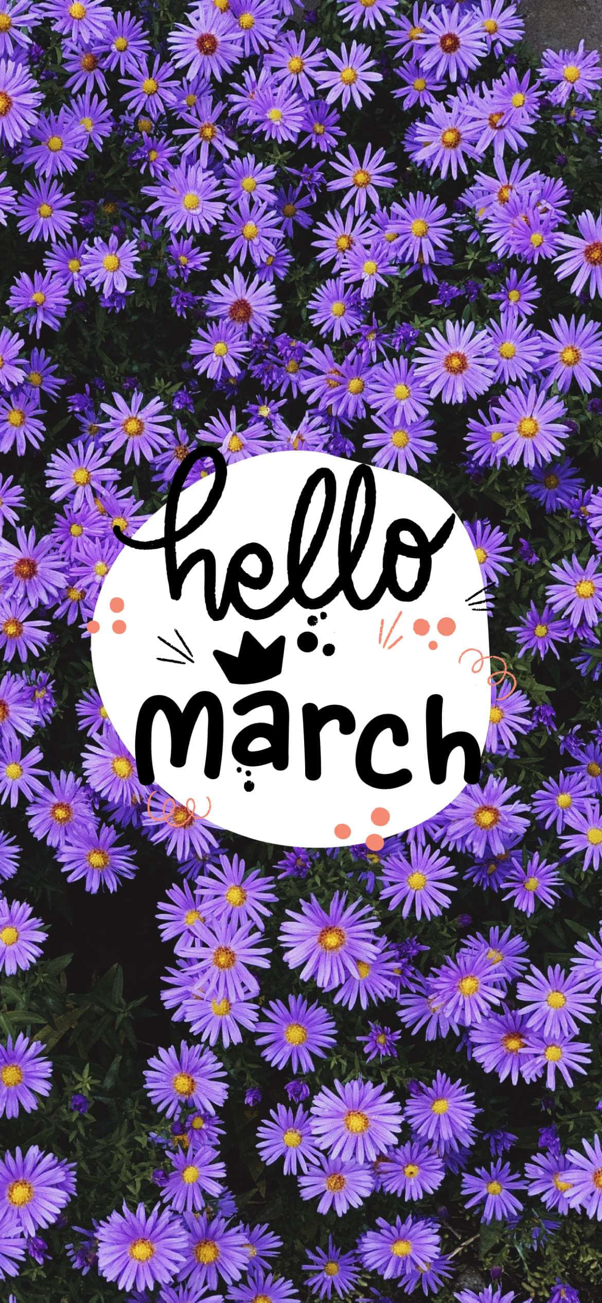 Hello March, blue wood asters, vibrant purple flowers, Full HD Phone Wallpaper