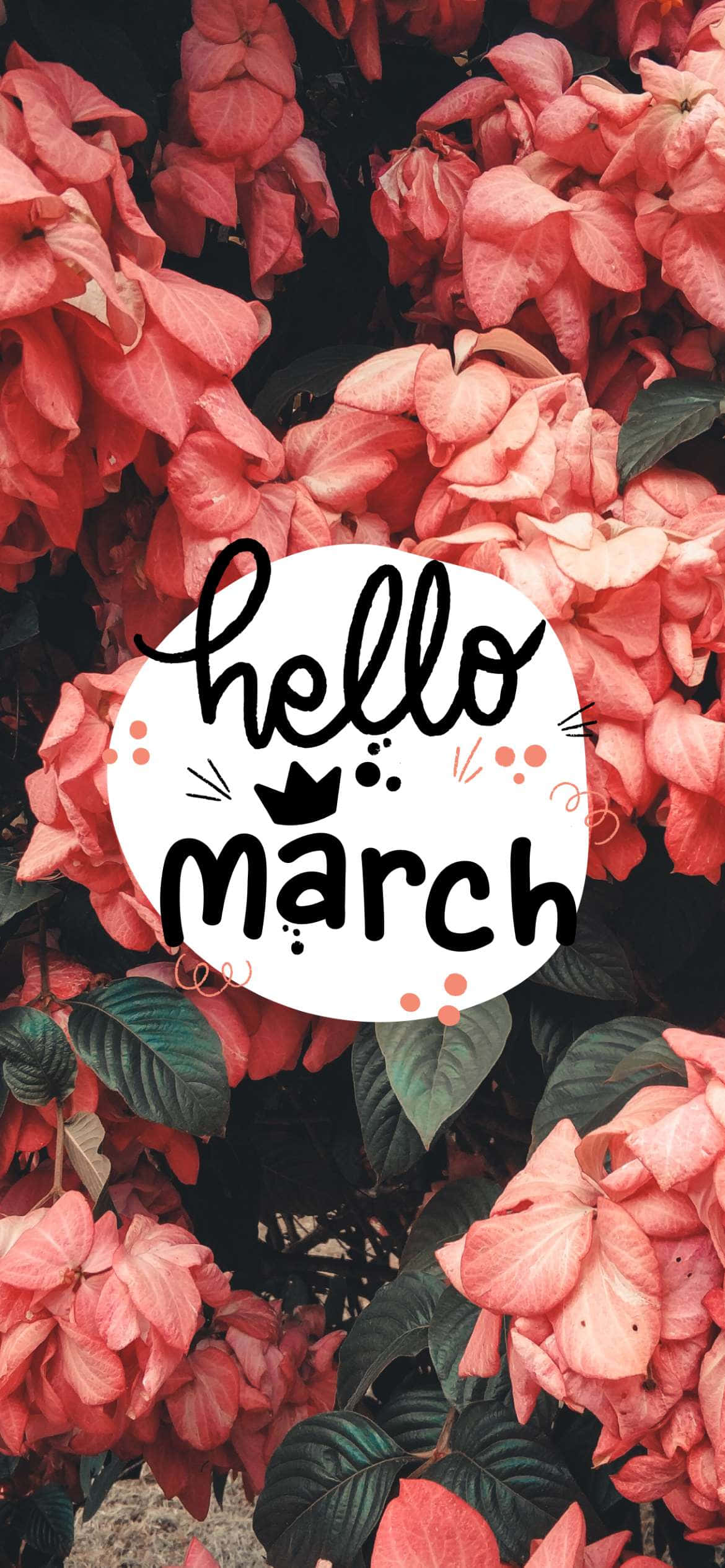 hello march, coral flowers, white circle, Full HD Phone Wallpaper