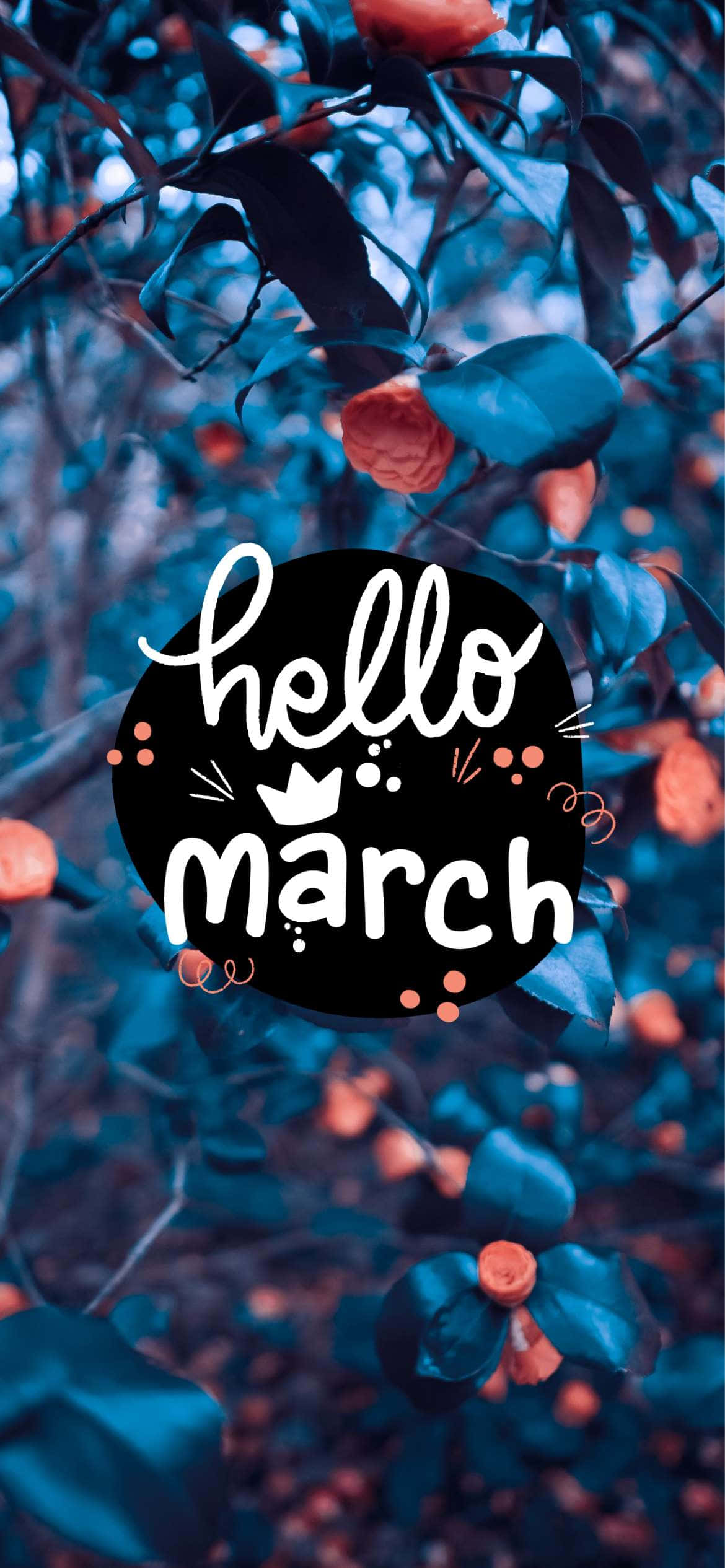 hello march, vibrant orange flowers, deep blue leaves, Full HD Phone Wallpaper
