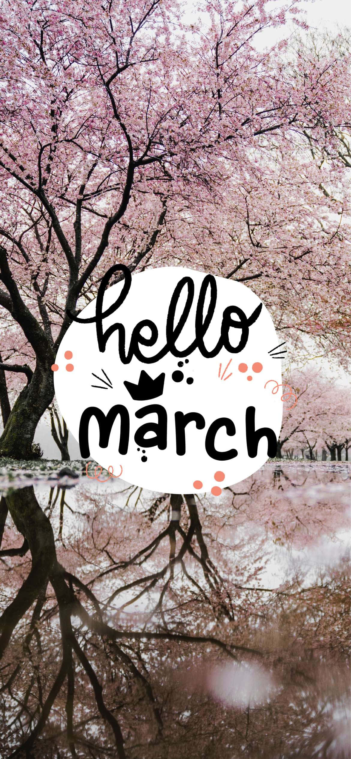 hello march, pink cherry blossoms, tree, Full HD Phone Wallpaper