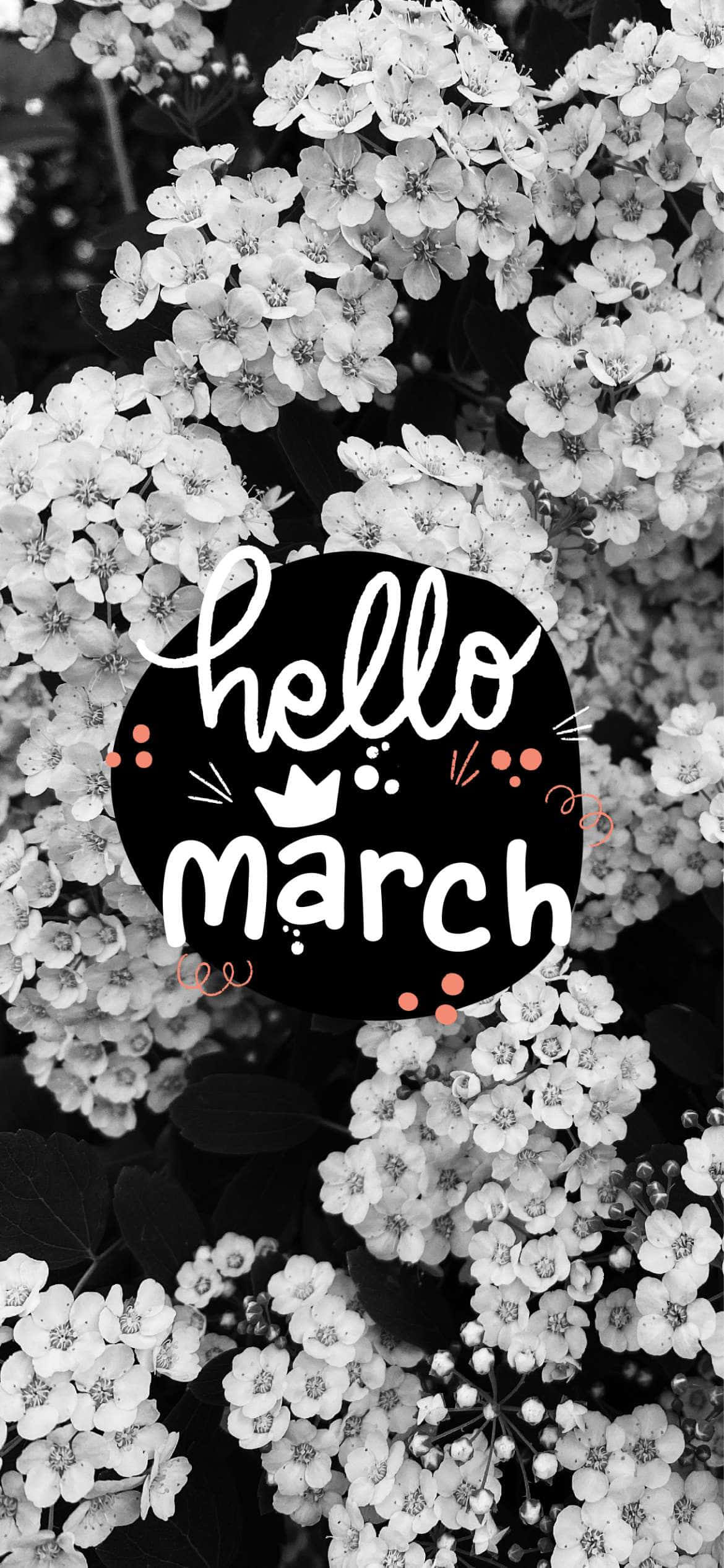 hello march, black and white floral, text overlay, Full HD Phone Wallpaper