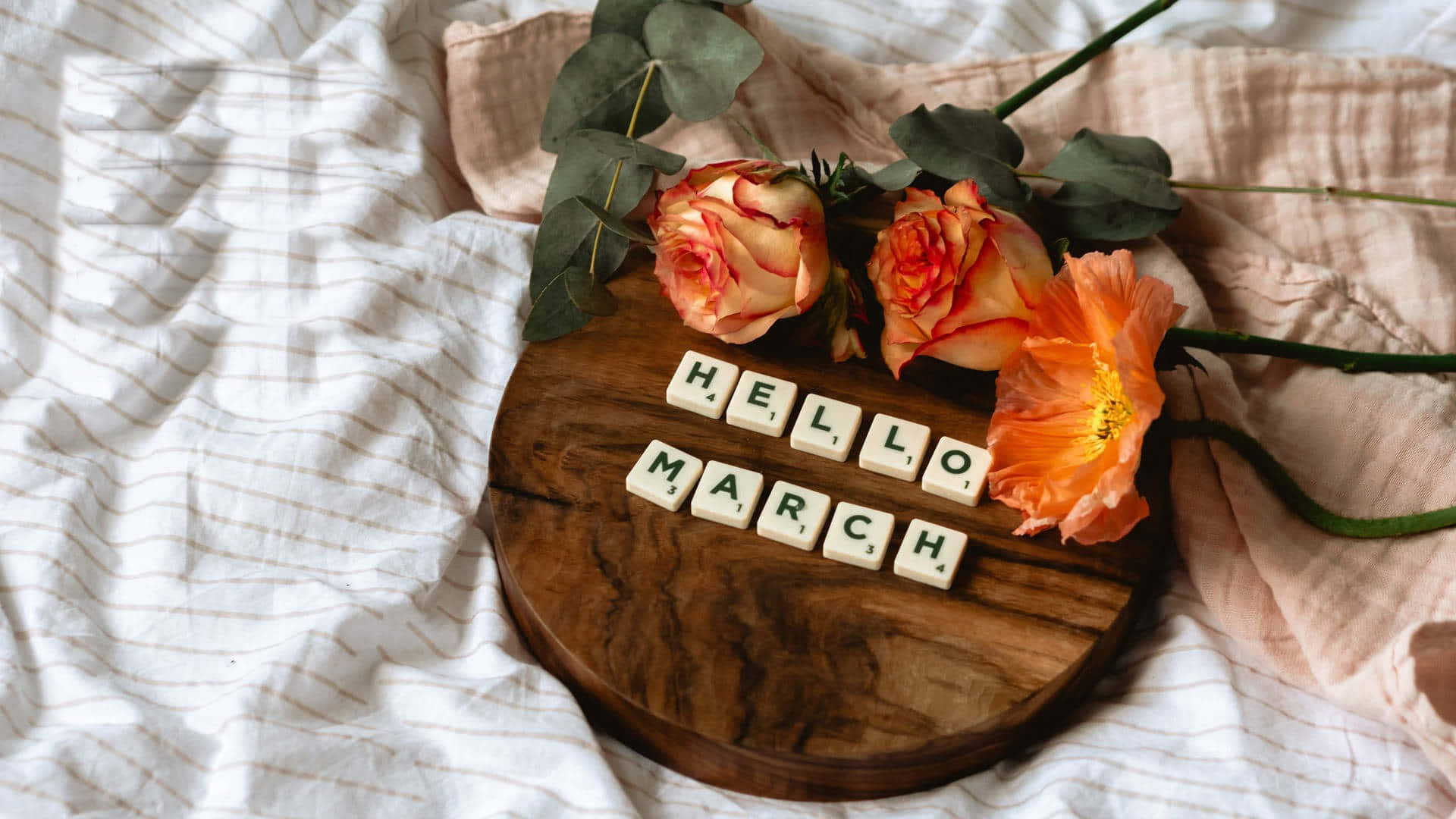 HELLO MARCH, wooden board, white tiles, Full HD Desktop Wallpaper