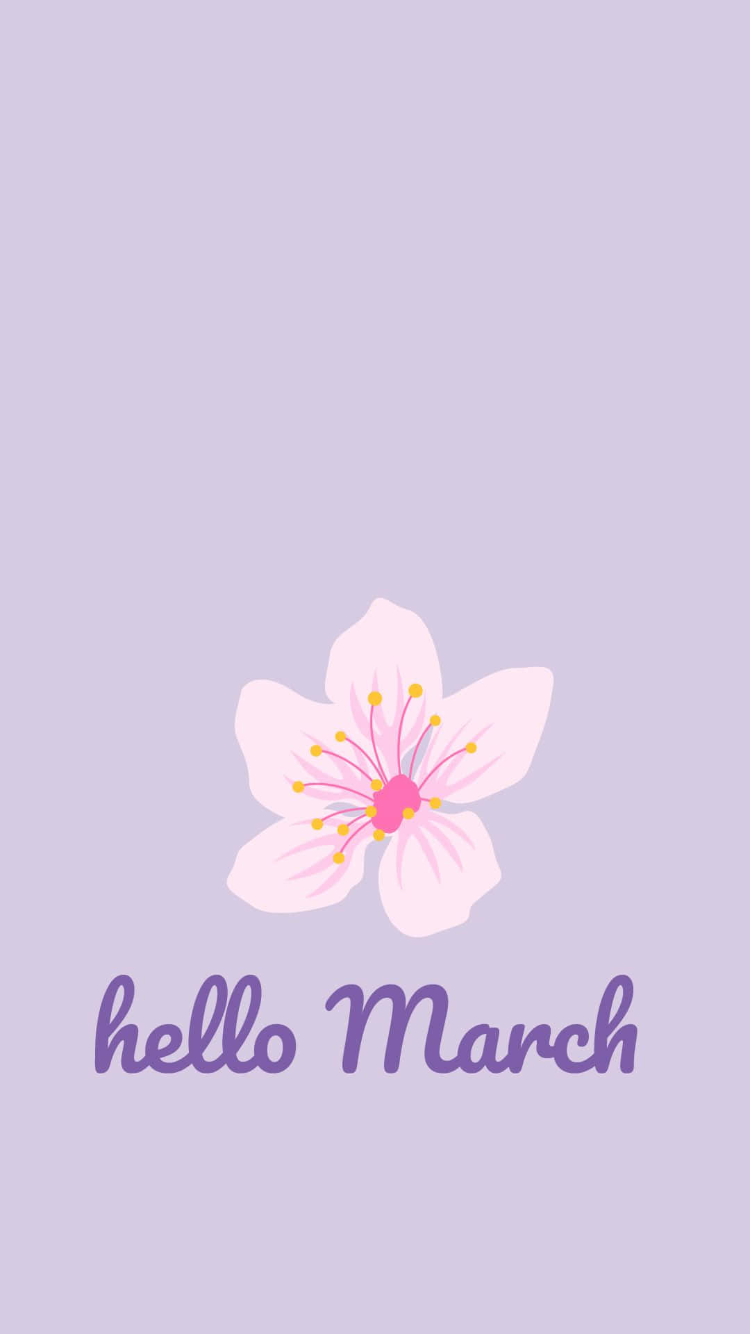 hello March, pink cherry blossom, yellow stamens, Full HD Phone Wallpaper