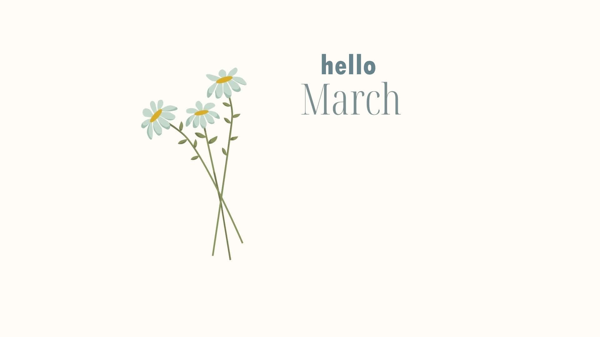 hello March, daisies, green stems, Full HD Desktop Wallpaper