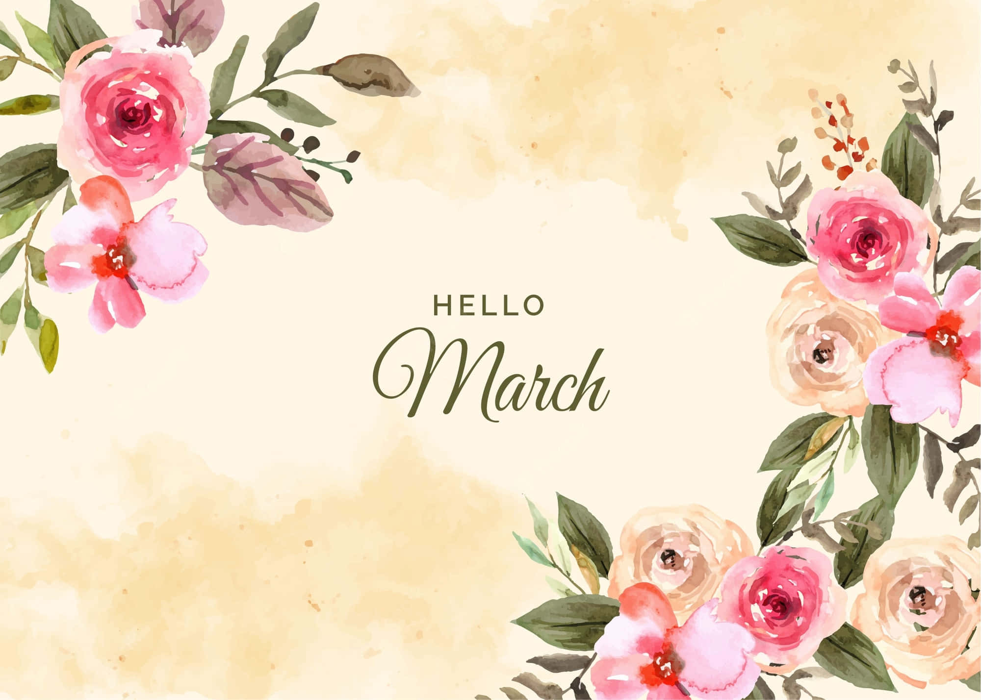 Hello March, pink roses, green leaves, Full HD Desktop Wallpaper