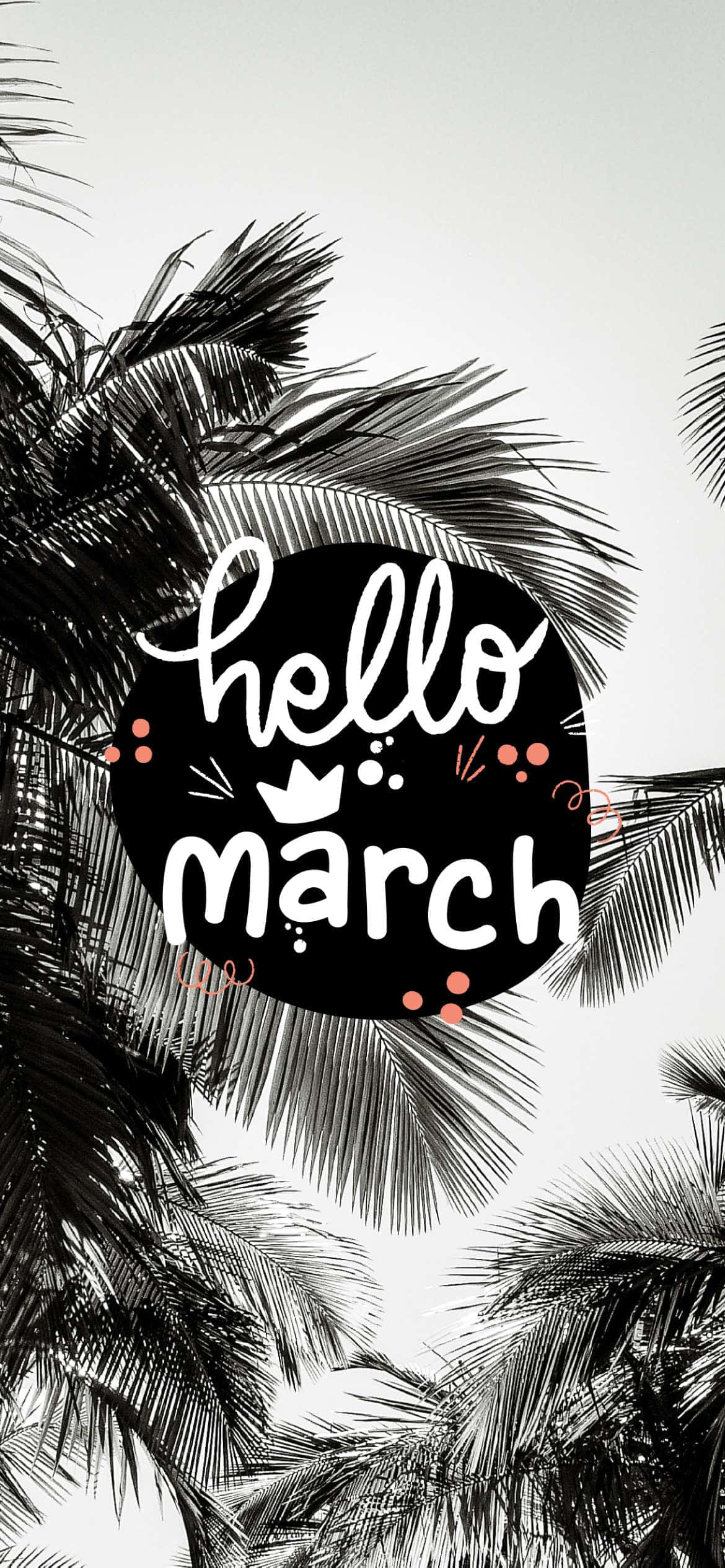 Hello March, black and white palm fronds, bold black circle, Full HD Phone Wallpaper