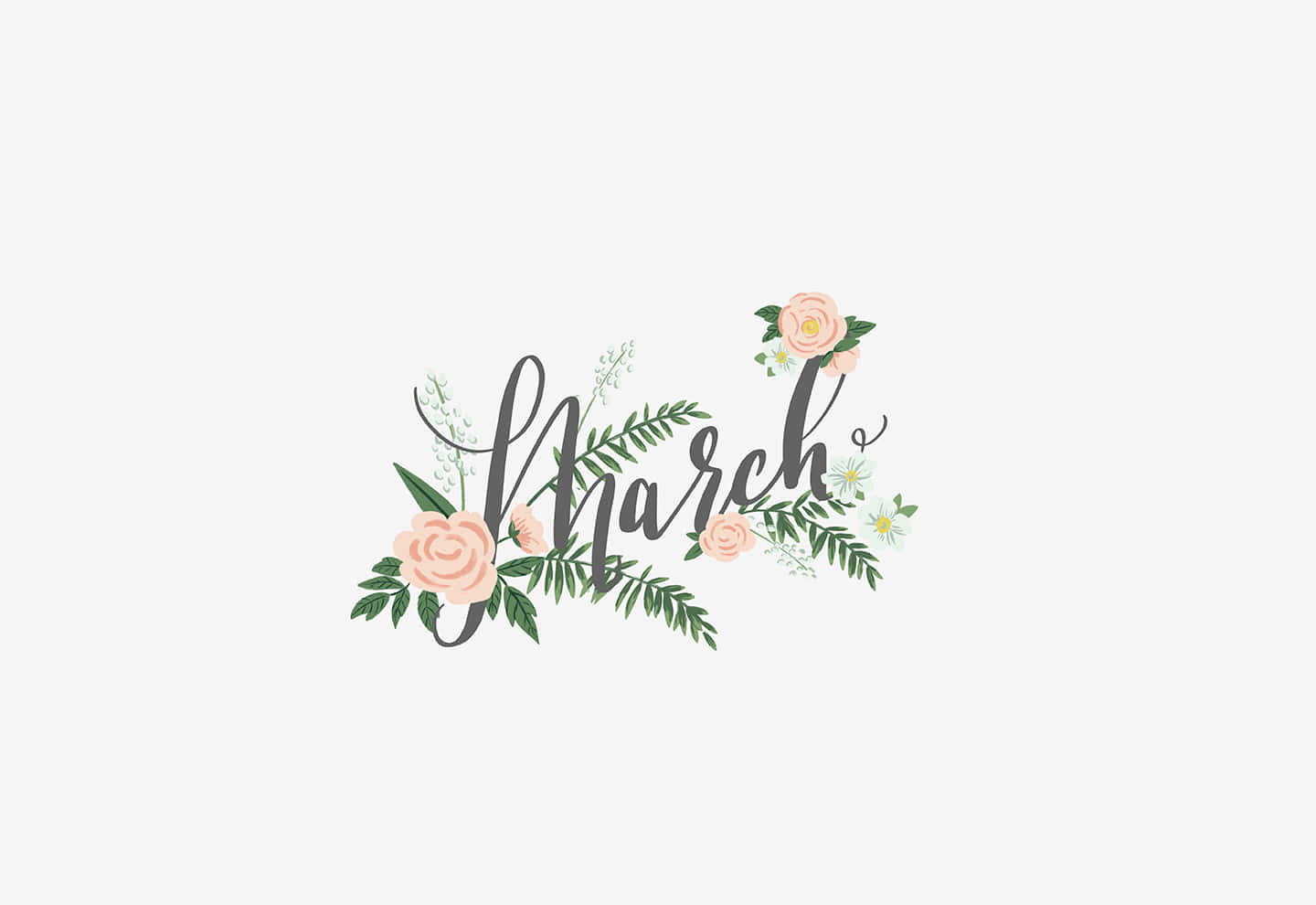 March, soft pink roses, green ferns, HD Desktop Wallpaper