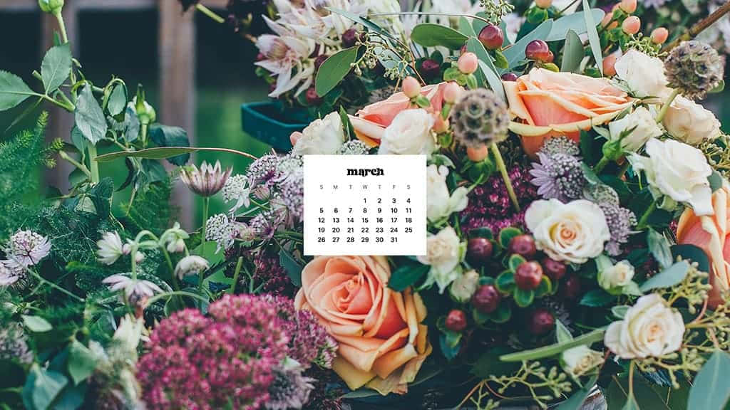 March calendar, peach roses, purple blooms, SD Desktop Wallpaper