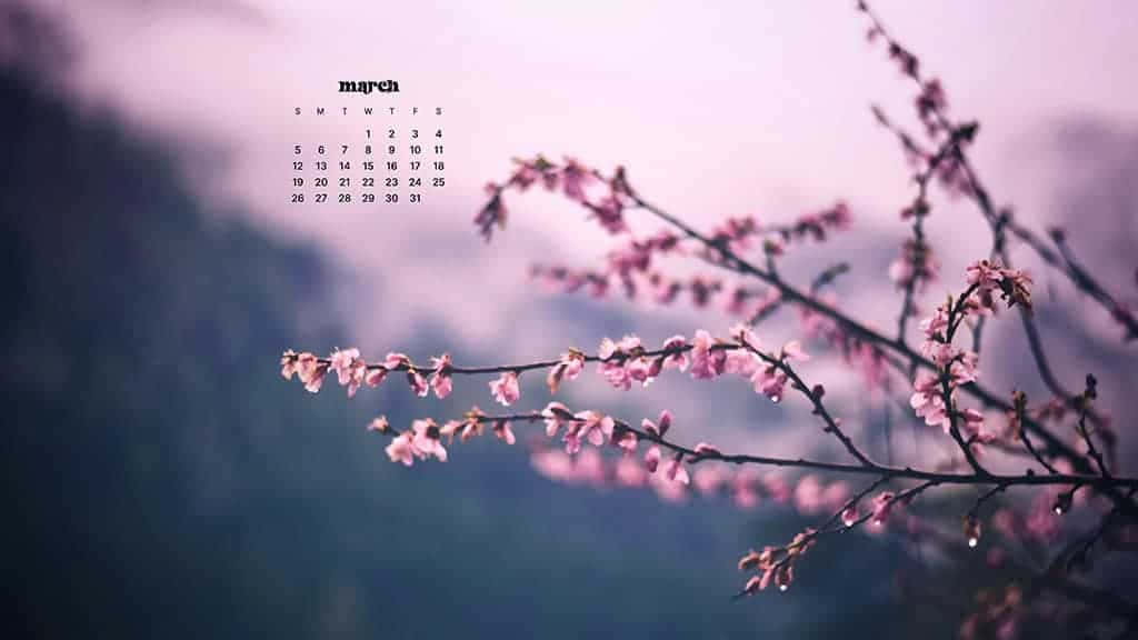 March calendar overlay, pink cherry blossoms, soft purple sky, SD Desktop Wallpaper