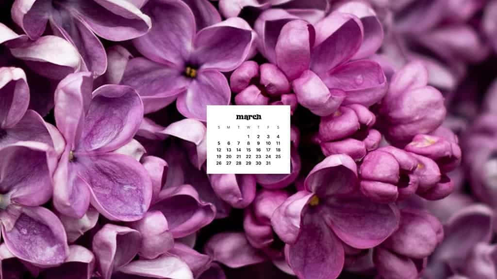 March calendar, vibrant purple lilac blossoms, desktop wallpaper, SD Desktop Wallpaper