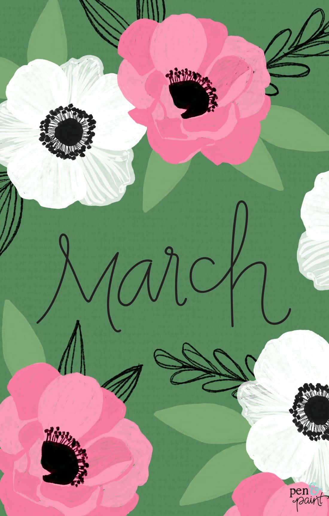 March, pink flowers, anemones, HD Phone Wallpaper