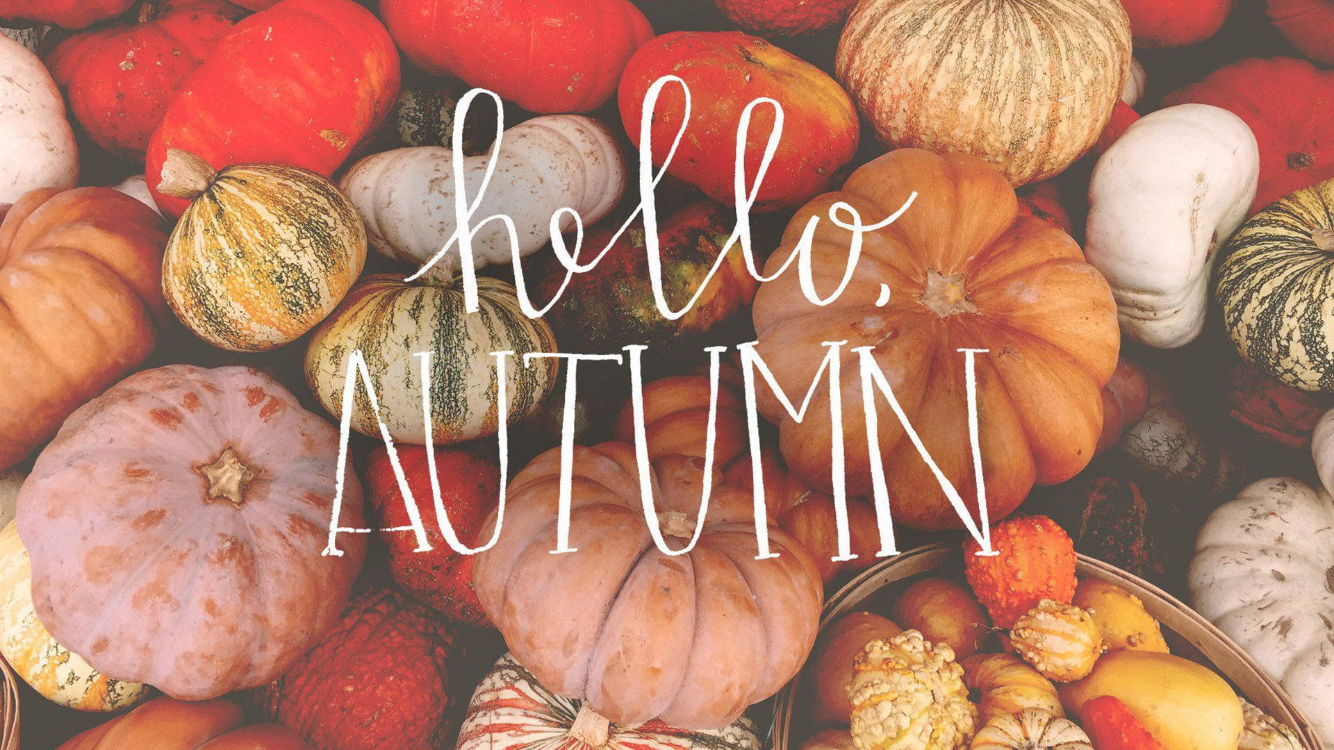 hello october, pumpkin pile, autumnal display, Full HD Desktop Wallpaper