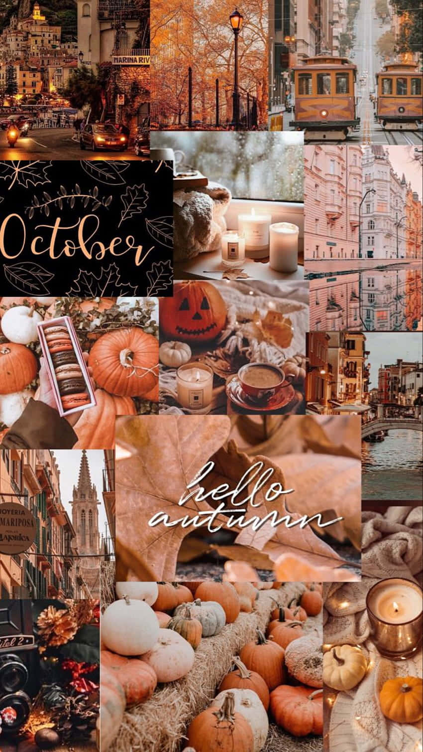 autumn, pumpkins, candles, HD Phone Wallpaper