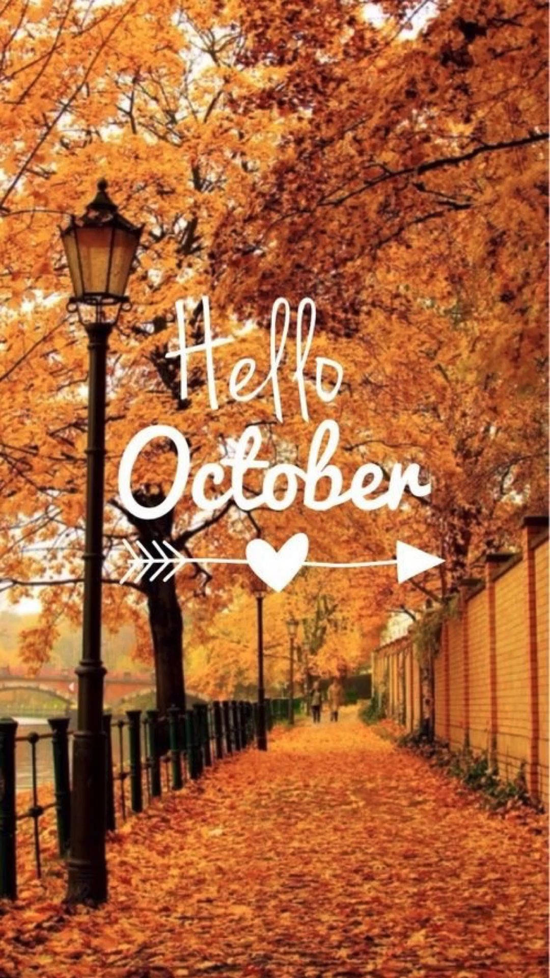 Hello October, orange leaves, golden autumn path, Full HD Phone Wallpaper