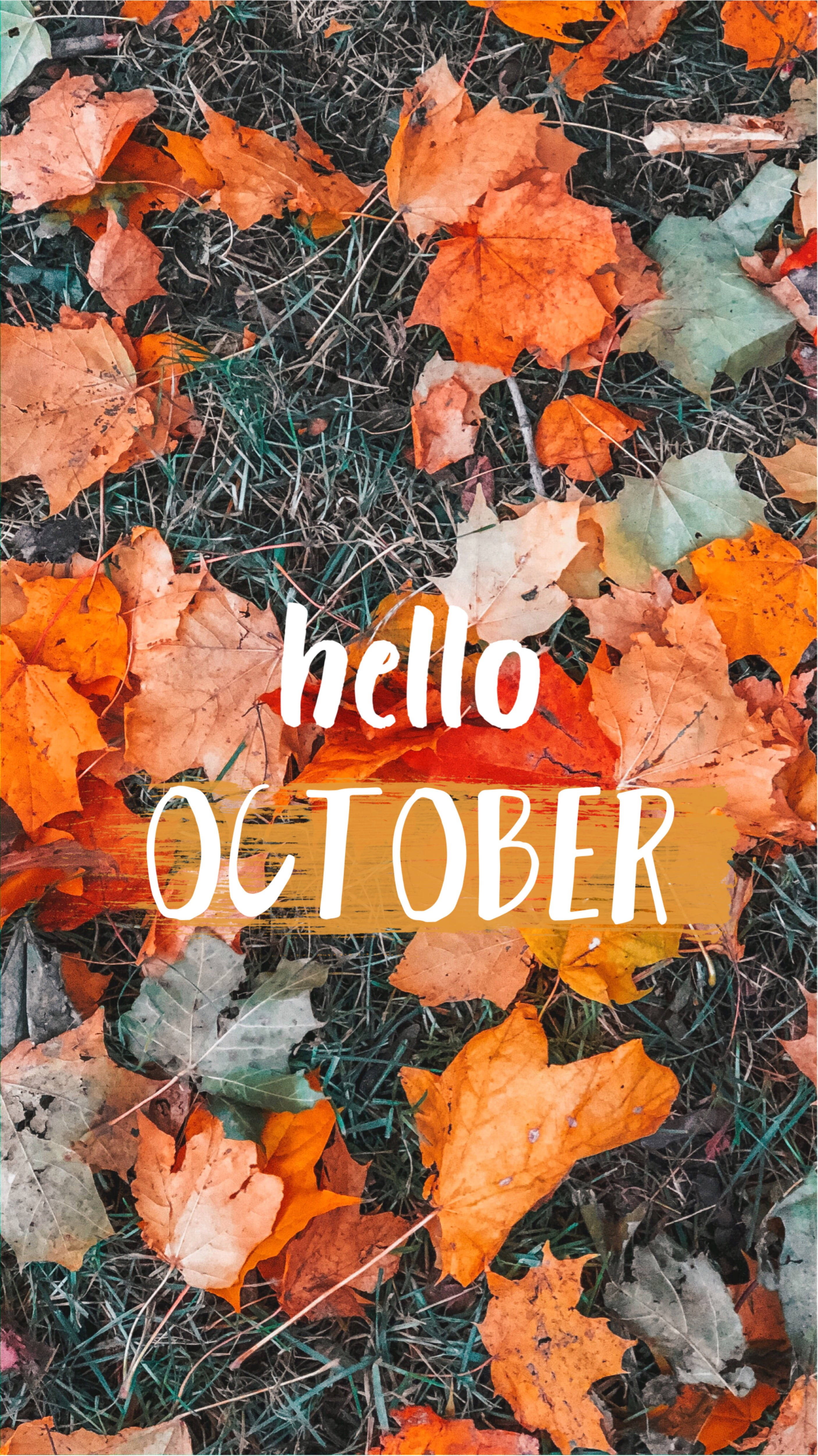 hello OCTOBER, vibrant orange, green maple leaves, 4K Phone Wallpaper