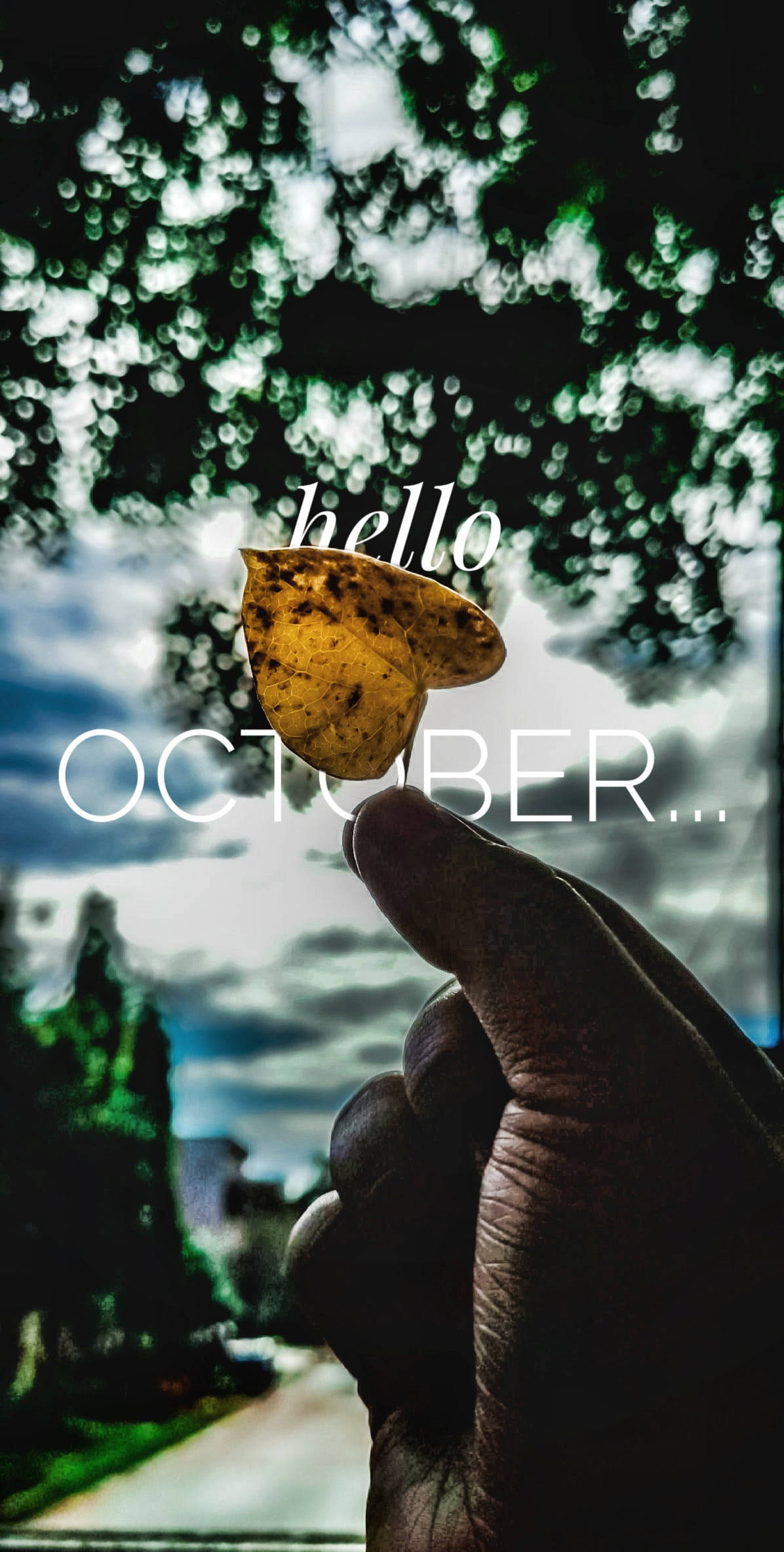 hand, yellow leaf, autumn backdrop, Full HD Phone Wallpaper