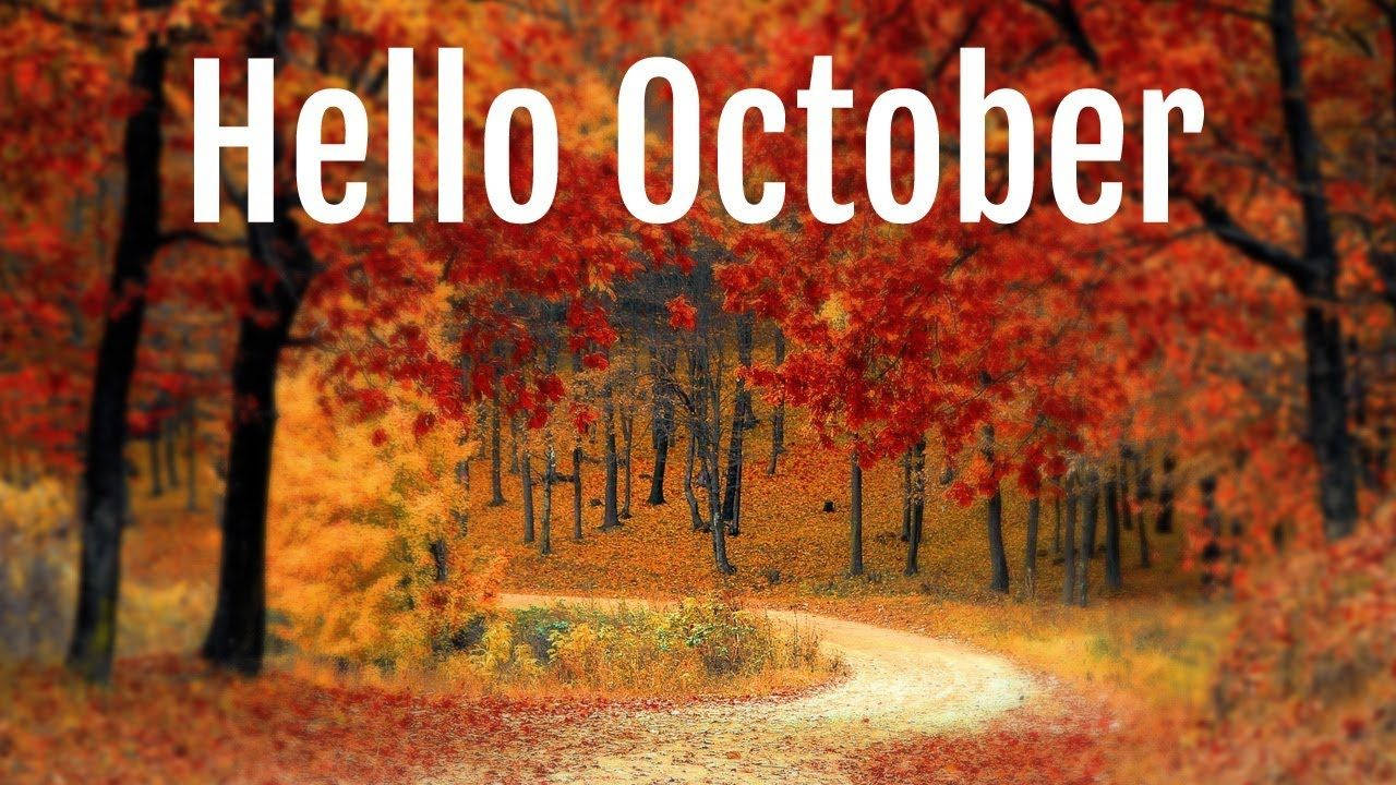 Hello October, orange trees, dirt pathway, HD Desktop Wallpaper