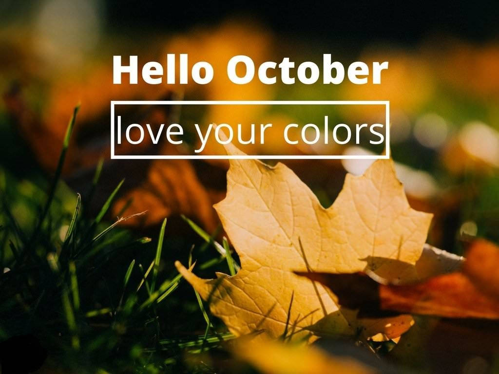 Hello October, golden maple leaf, green grass, SD Desktop Wallpaper