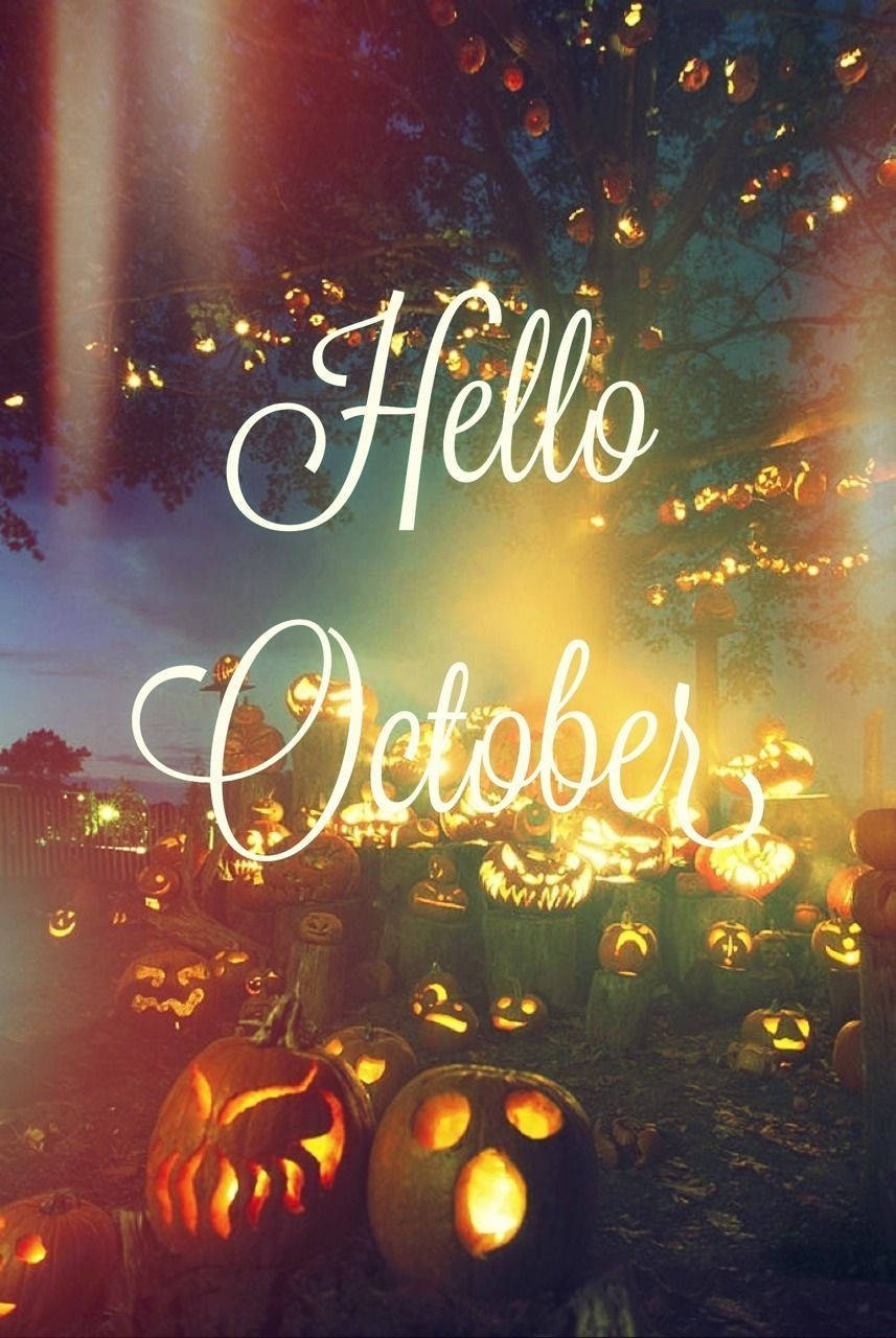 Hello October, pumpkin lanterns, misty yard, HD Phone Wallpaper