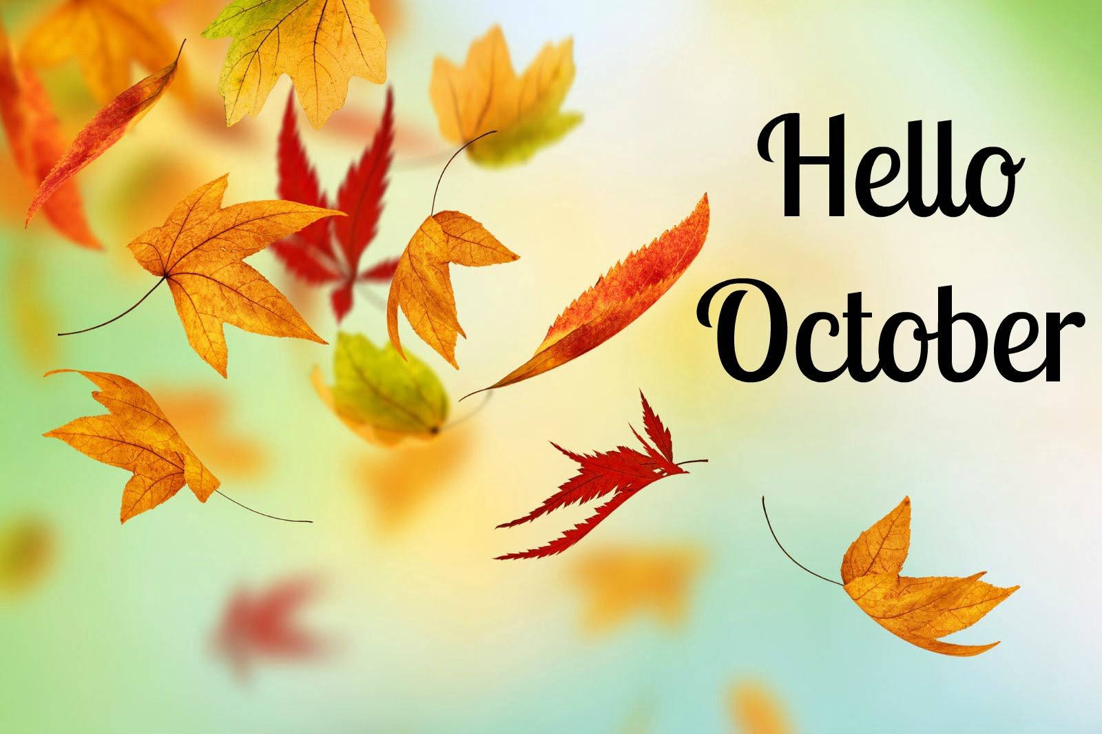 Hello October, autumn leaves, soft gradient sky, HD Desktop Wallpaper