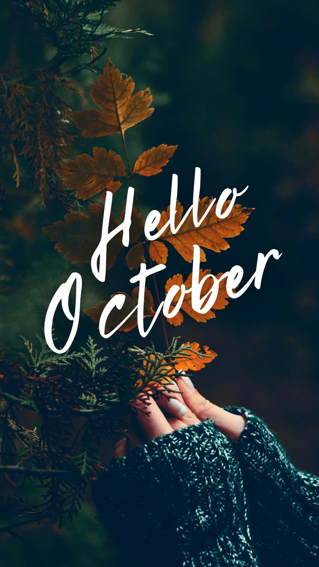 Hello October, teal sweater, autumn leaves, Full HD Phone Wallpaper