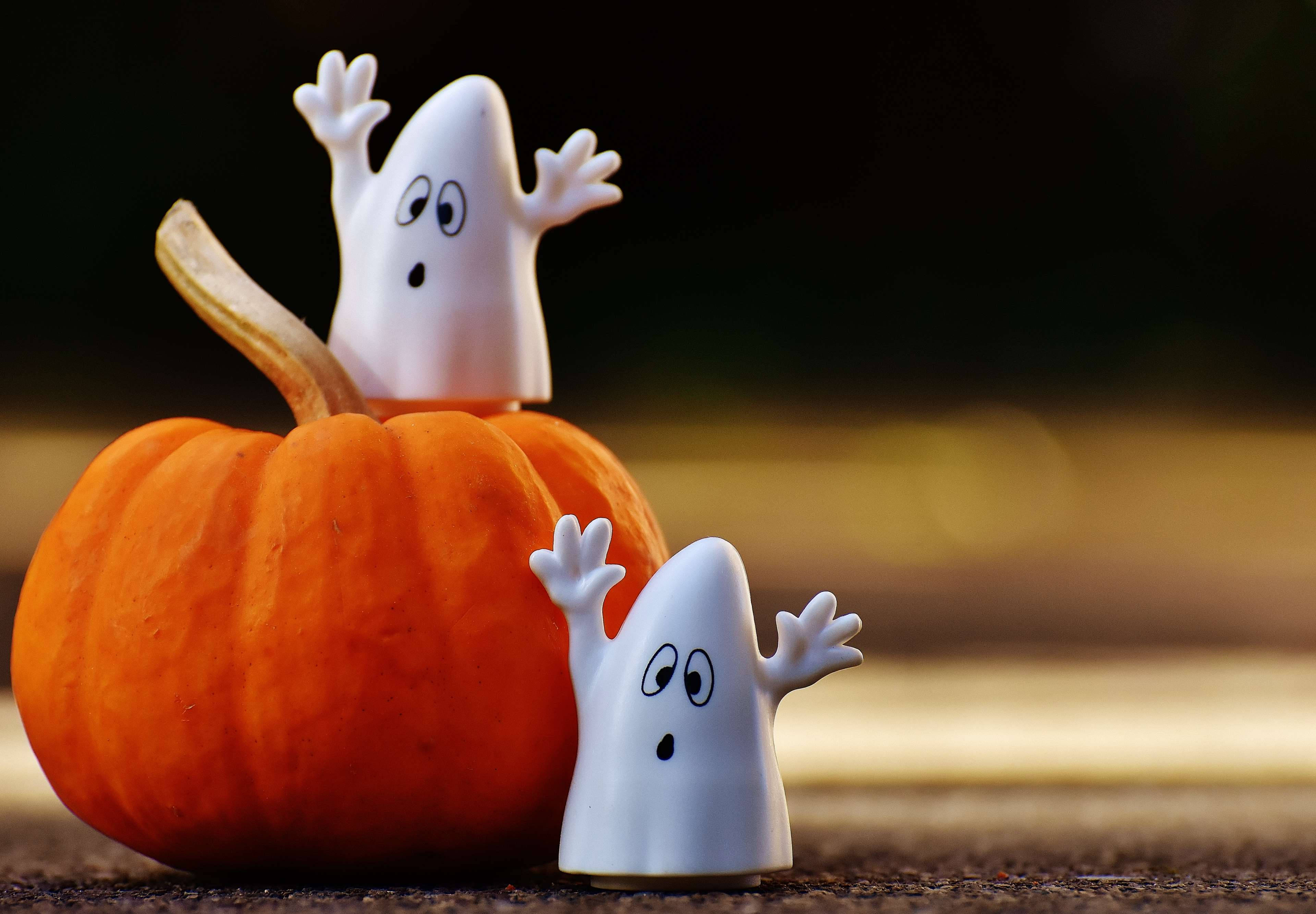 cute white ghost figurines, vibrant orange pumpkin, blurred golden background, 4K Desktop Wallpaper