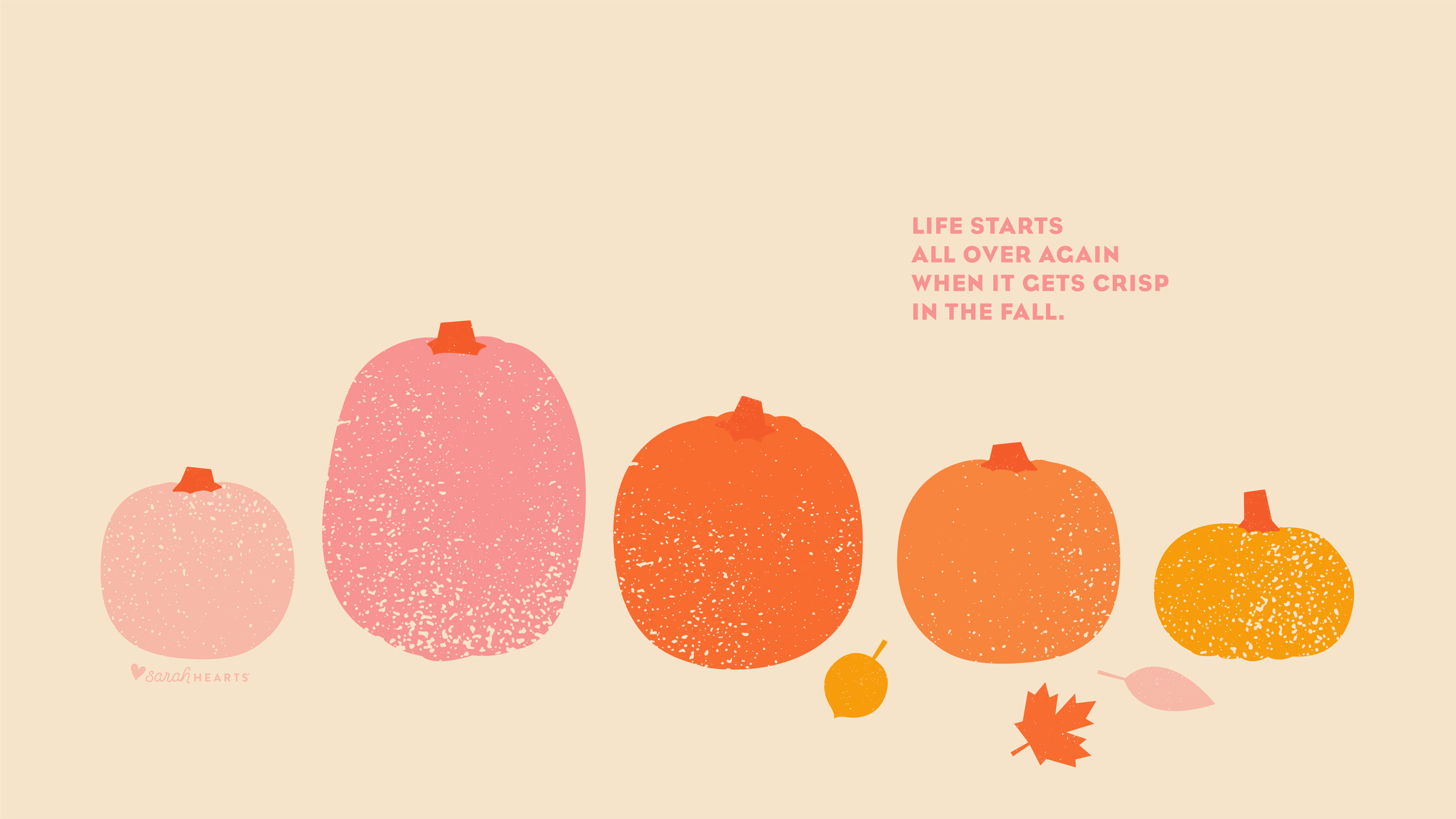 pumpkins, gradient pink orange hues, speckled texture, 5K Desktop Wallpaper
