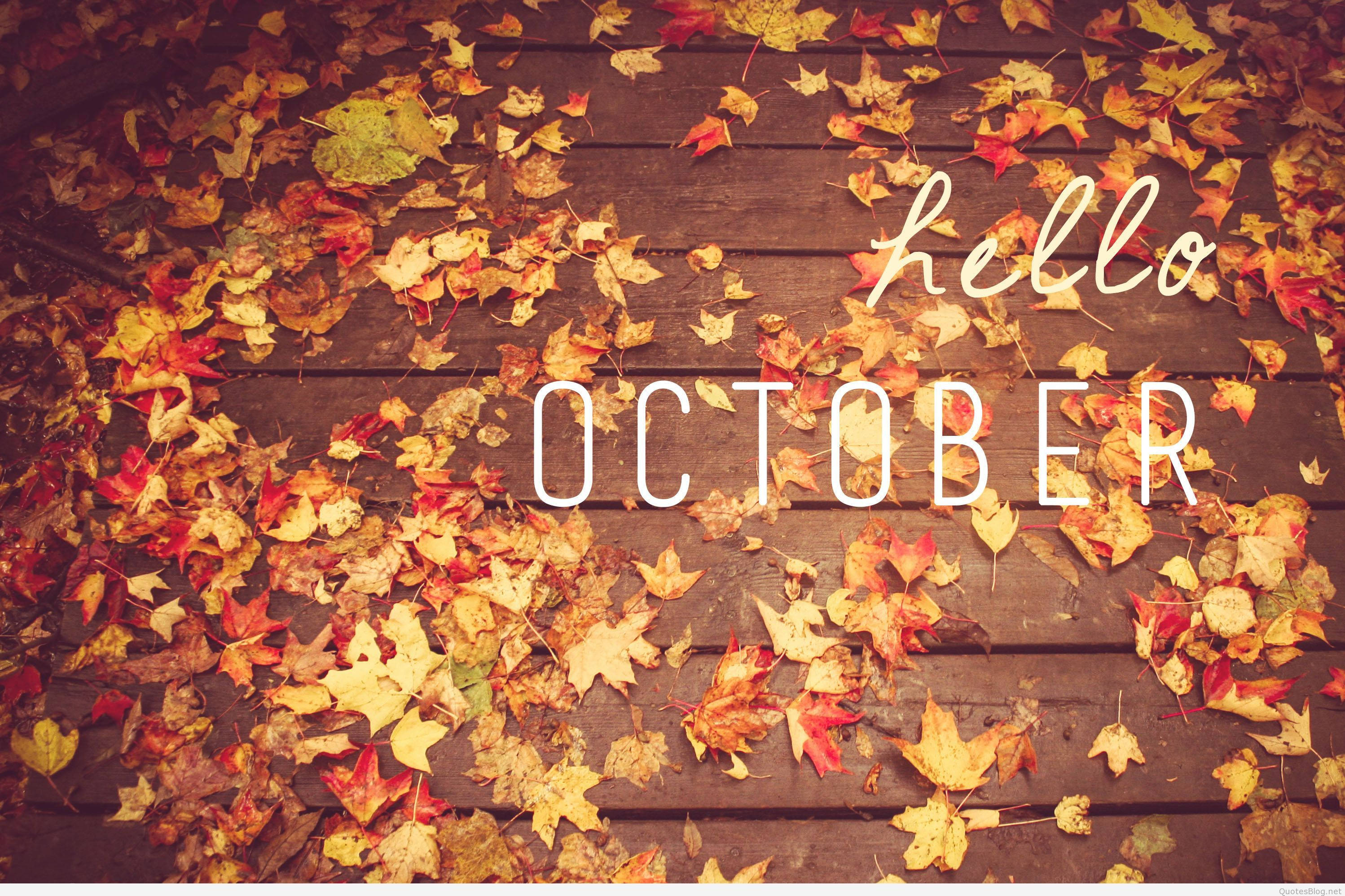hello october, red yellow and orange hues, weathered wooden deck, 2K Desktop Wallpaper