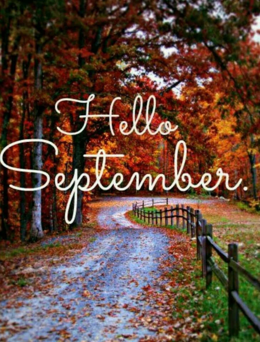 Hello September, autumn leaves, winding forest path, SD Phone Wallpaper