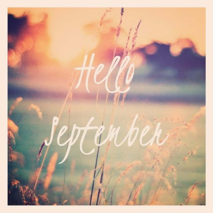Hello September, Golden sunset, tall grasses, SD Desktop Wallpaper