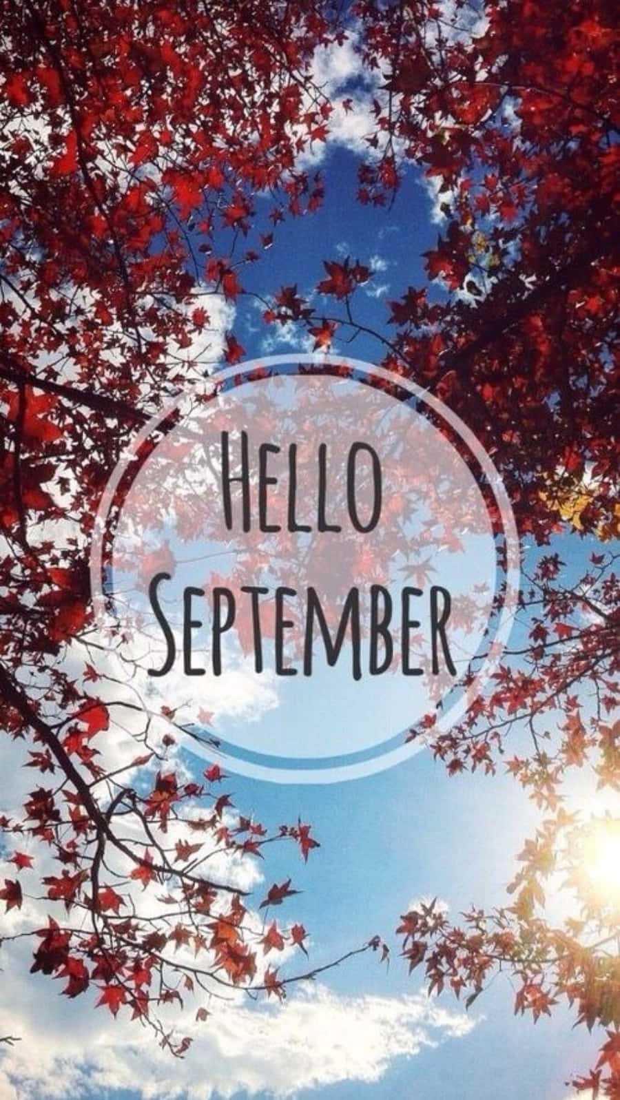 Hello September, red maple leaves, bright blue sky, HD Phone Wallpaper