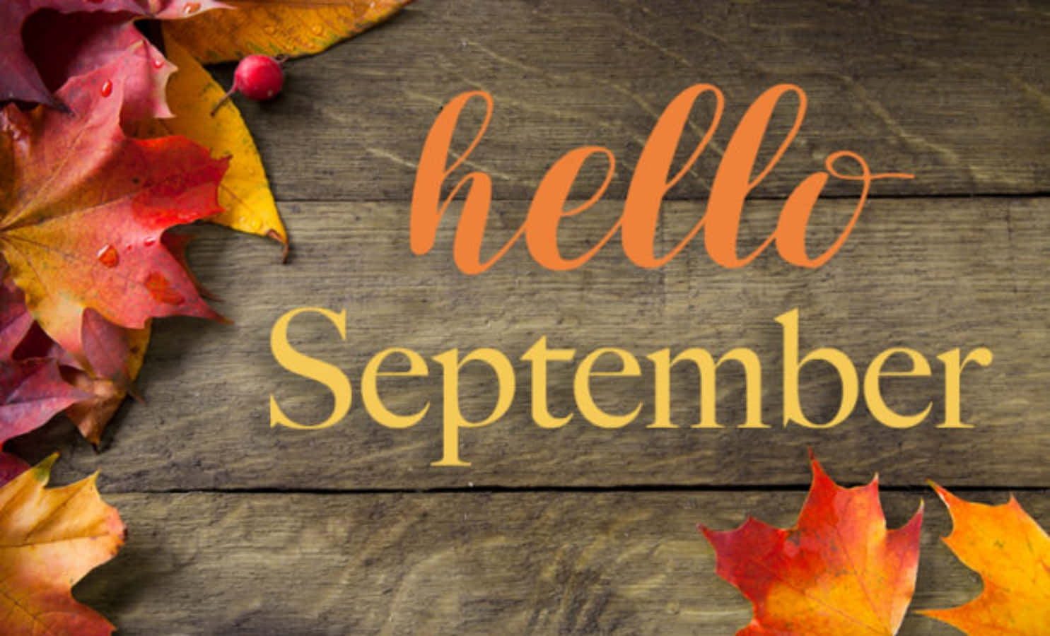 Hello September, autumn leaves, red orange, HD Desktop Wallpaper