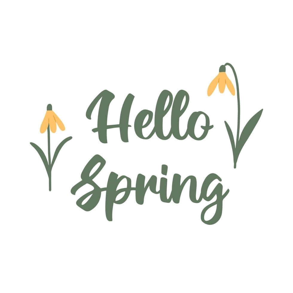 Hello Spring, green cursive text, yellow snowdrop flowers, SD Desktop Wallpaper