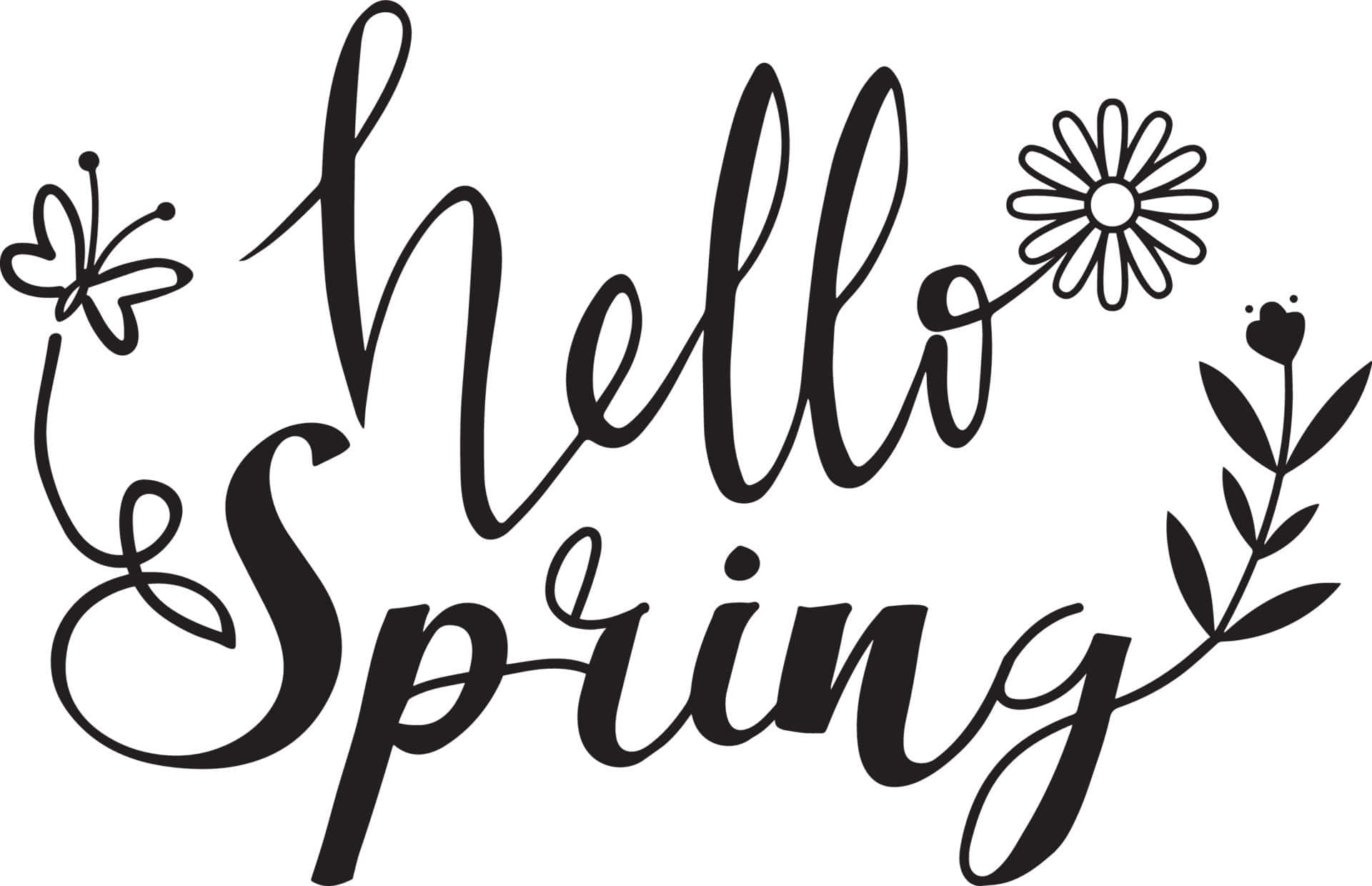 Hello Spring, black script, daisies, Full HD Desktop Wallpaper
