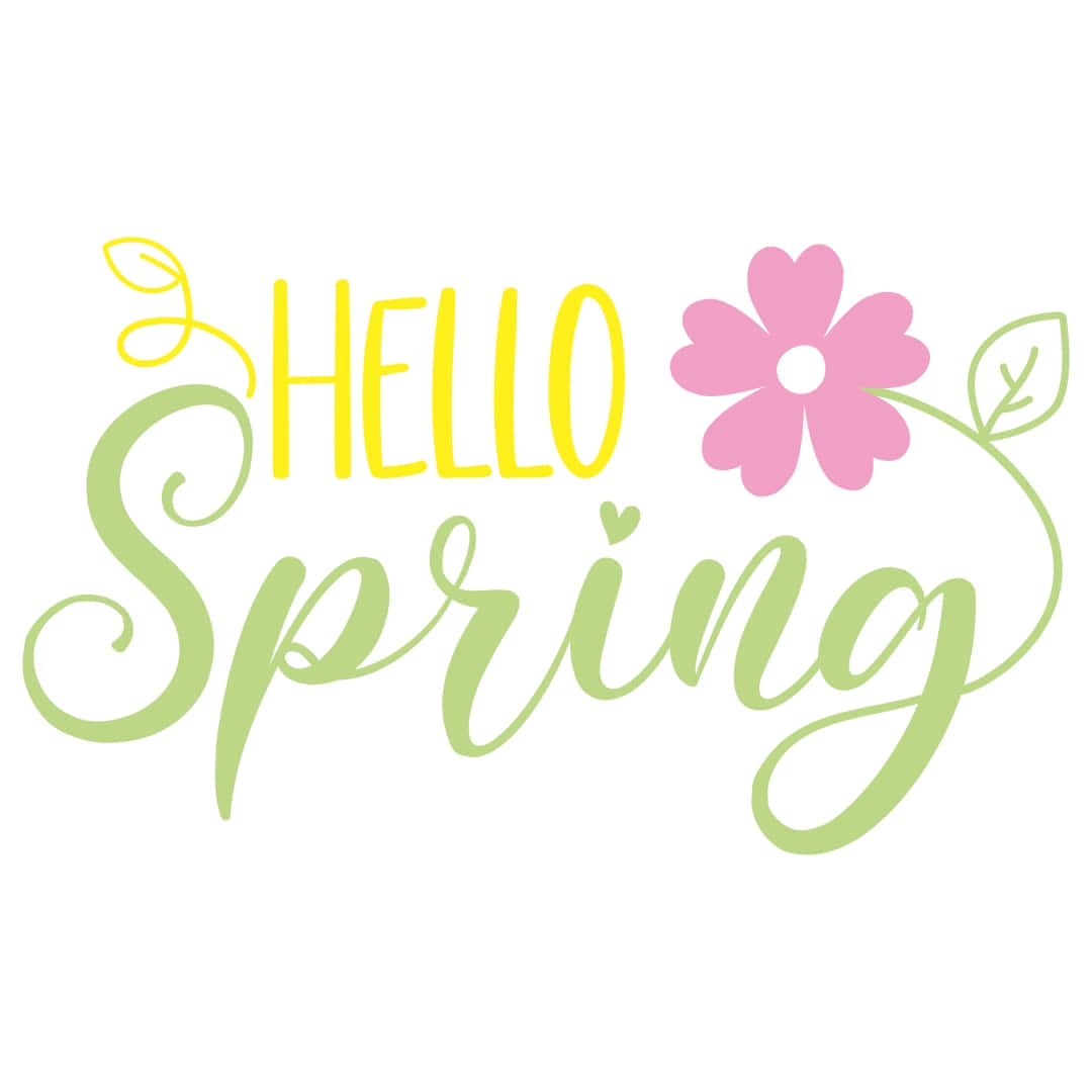 Hello Spring, colorful script, pink flower, SD Desktop Wallpaper