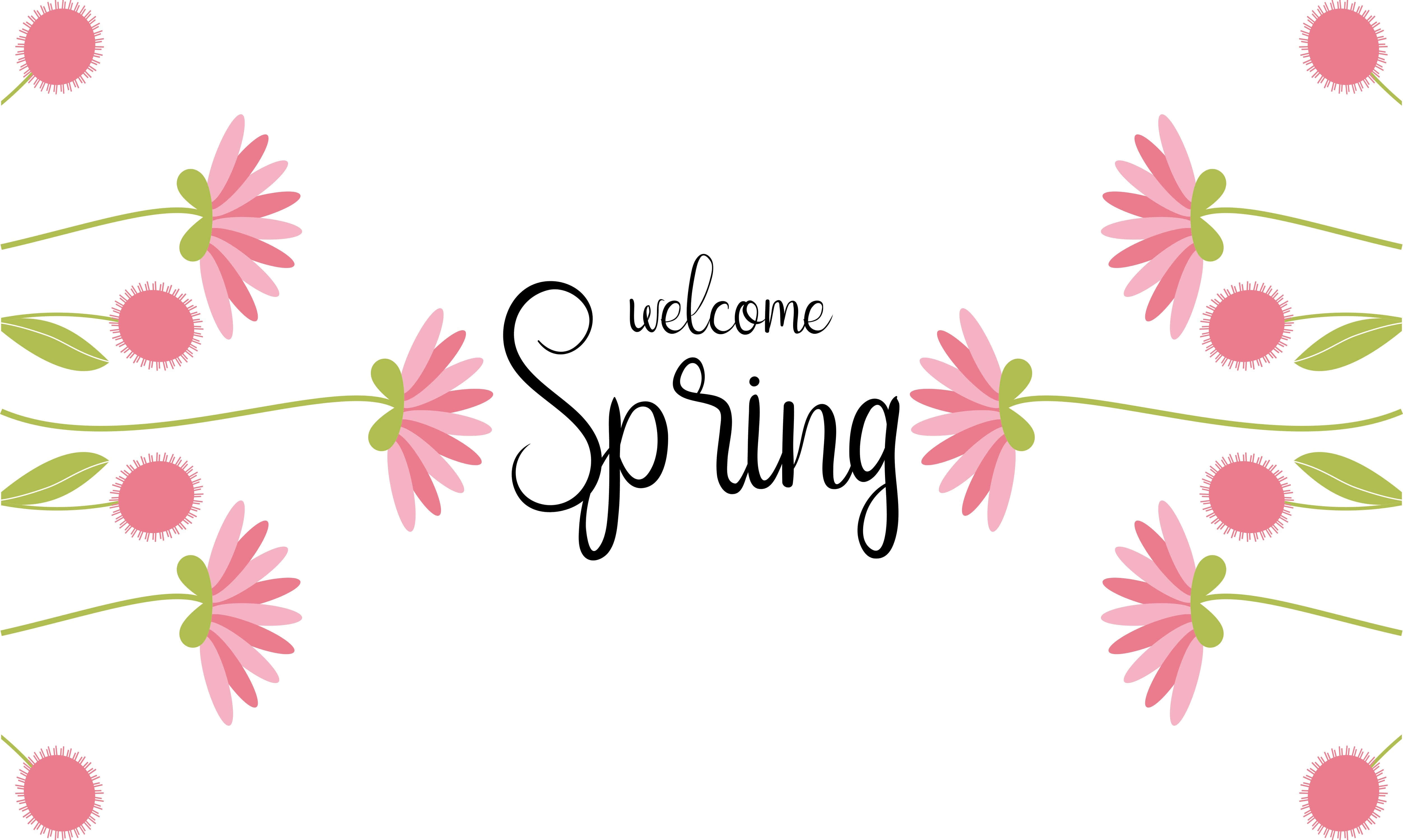 pink daisy flowers, green stems, elegant black cursive text, 4K Desktop Wallpaper