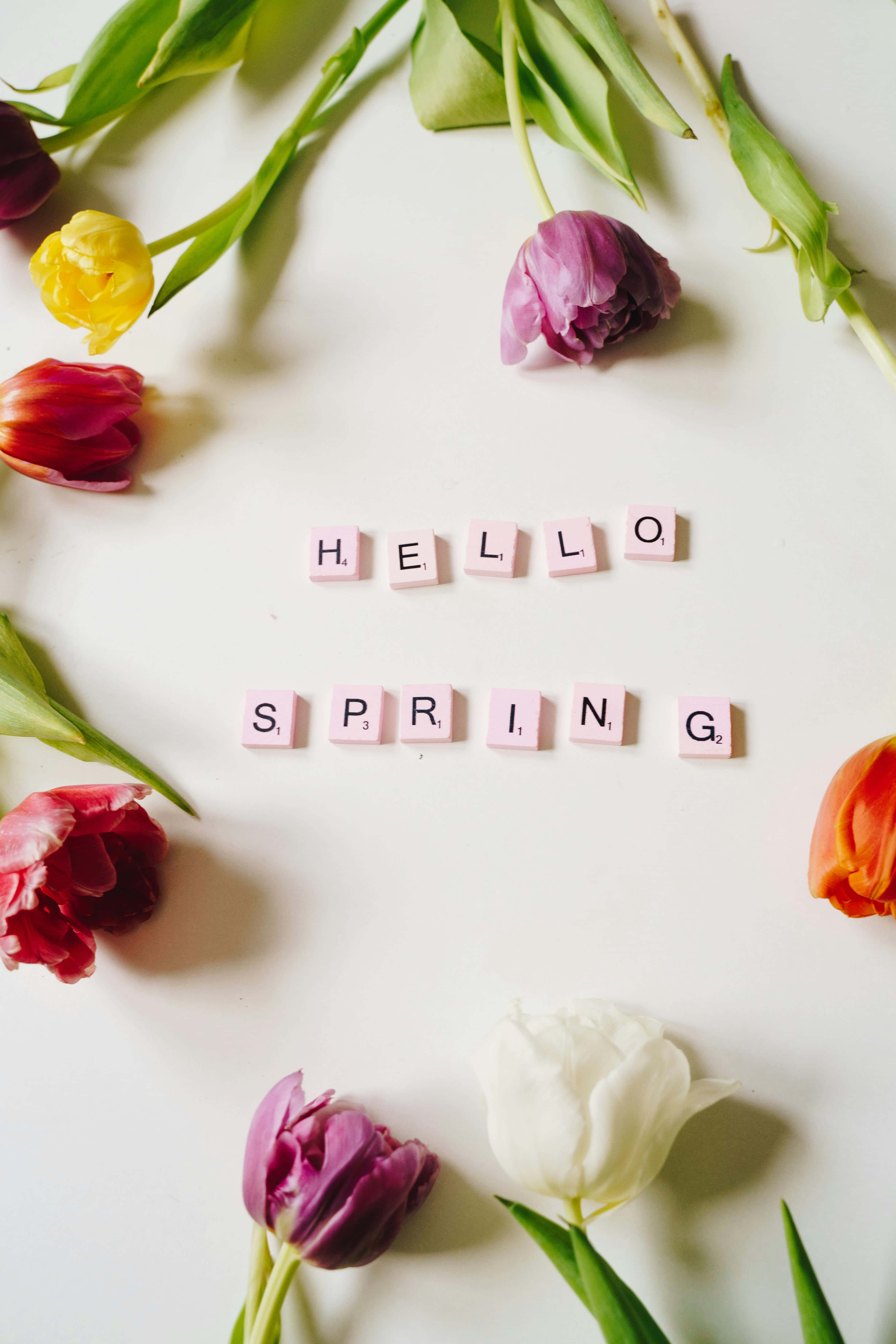 Hello Spring, tulips, pink Scrabble tiles, 5K Phone Wallpaper